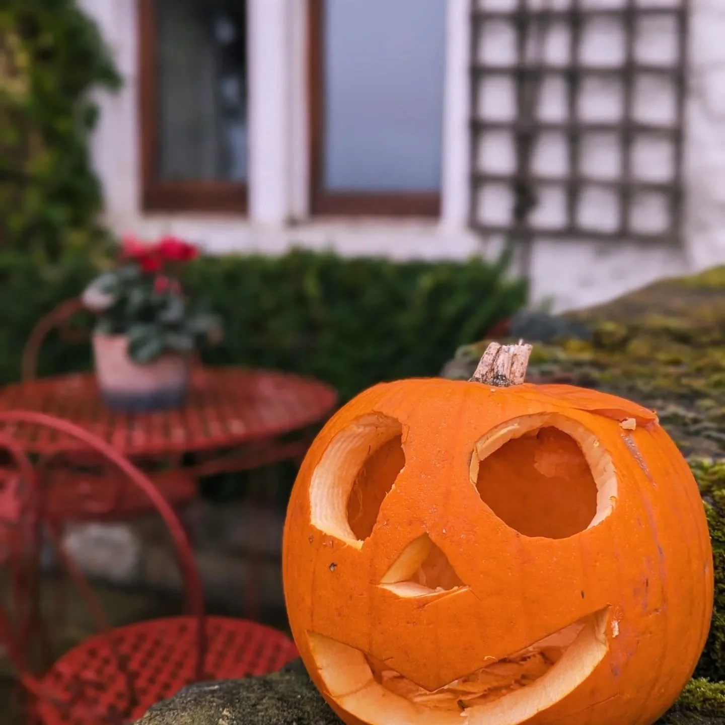 Looking for a cosy Autumn Escape? 
When the air turns crisp and the mornings glisten with frost, there’s no better place to be than Laythams.
Wake to mist drifting across the fells, wrap up for a countryside walk, then come home to the comfor