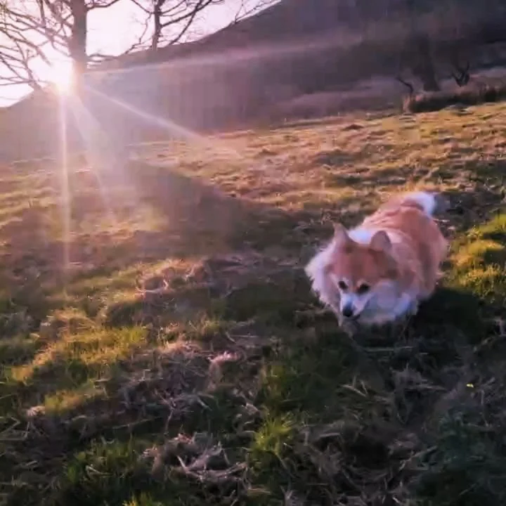 Running into Spring... 

Here's to longer days, brighter skies, flowers in bloom.

At Laythams we promise an escape from the ordinary, a place to unwind,  a place to reconnect with nature and each other.

Now is the perfect time to plan that next esc