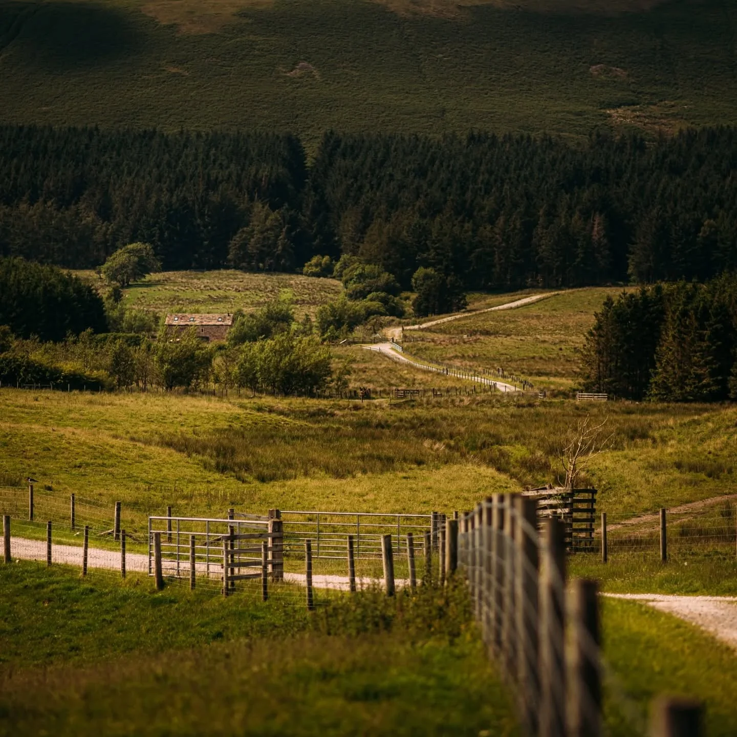 Off-Grid Escapes at The Lakehouse 

If you&rsquo;re dreaming of switching off and truly unwinding, then our  Lakehouse at Laythams is not to be missed.

Set in a remote rural location in the heart of the Forest of Bowland, this unique stay is fully o