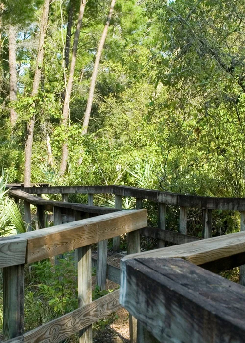 Turkey Creek Sanctuary boardwalk in Palm Bay, Florida