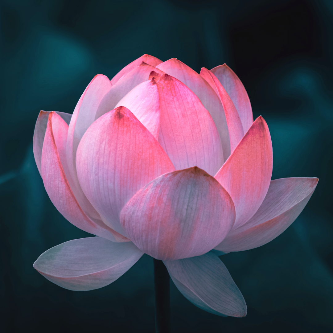 Sacred Rebirth Ceremony