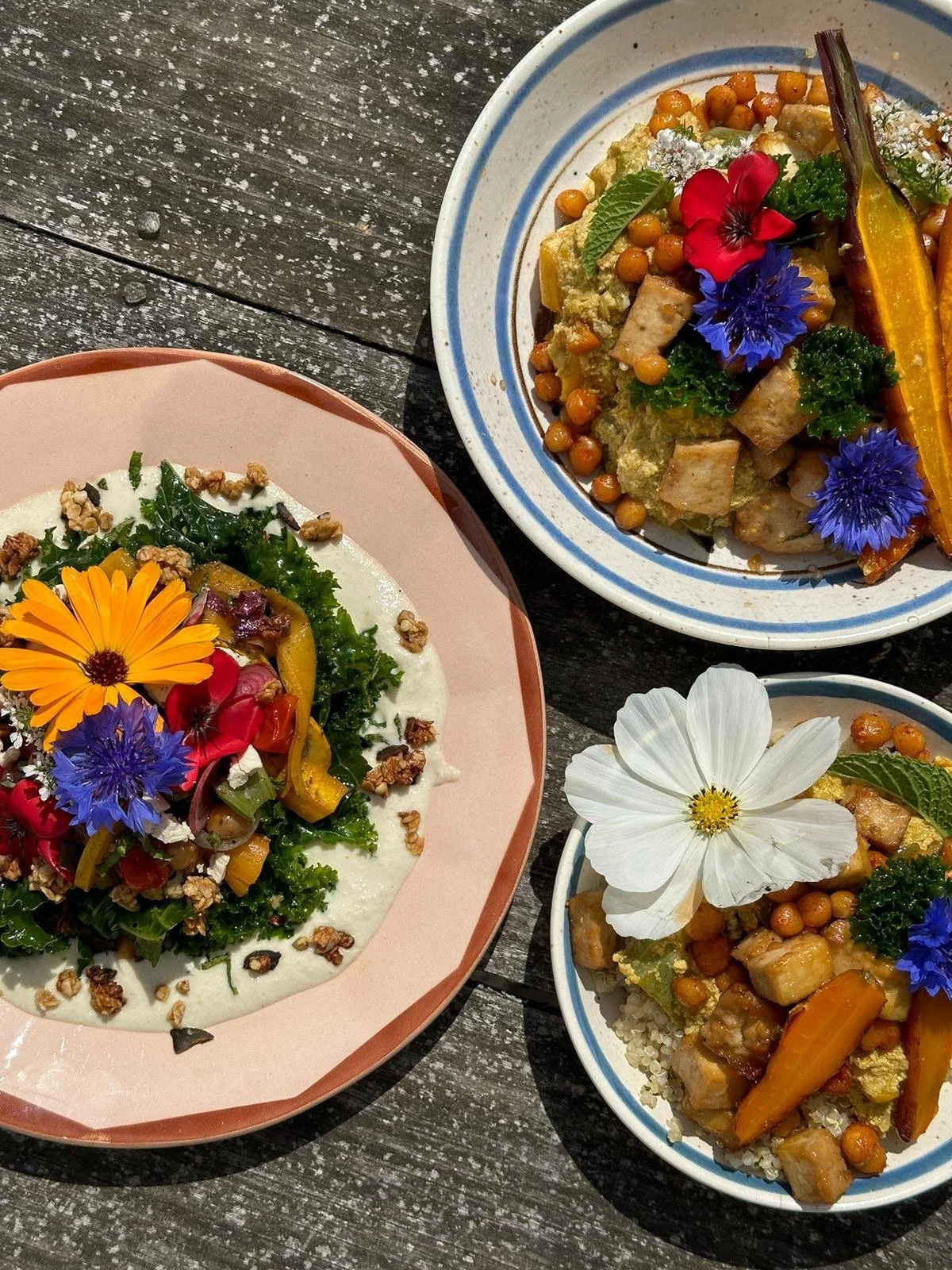 cuisine végétale colorée séjours bien-être Native Cameline Ninoufood Foodista Therapy traiteur cheffe à domicile Nouvelle-Aquitaine Maison Mercy