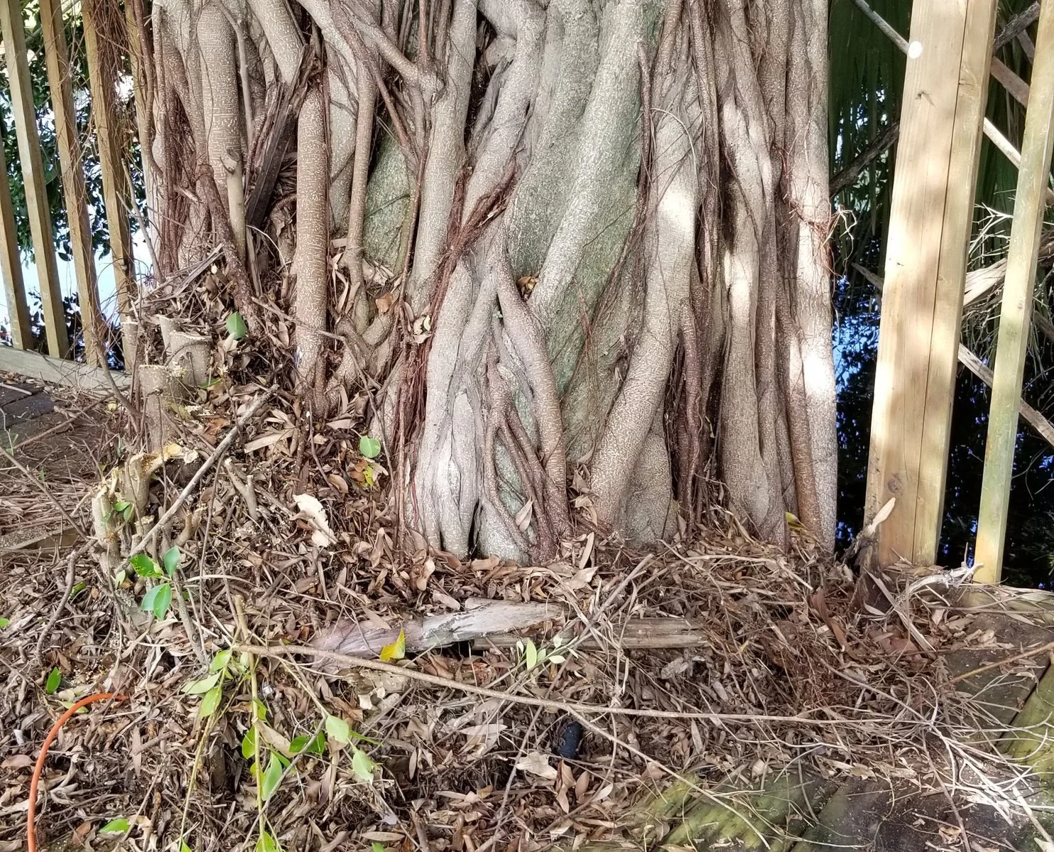20180718_101435.jpg