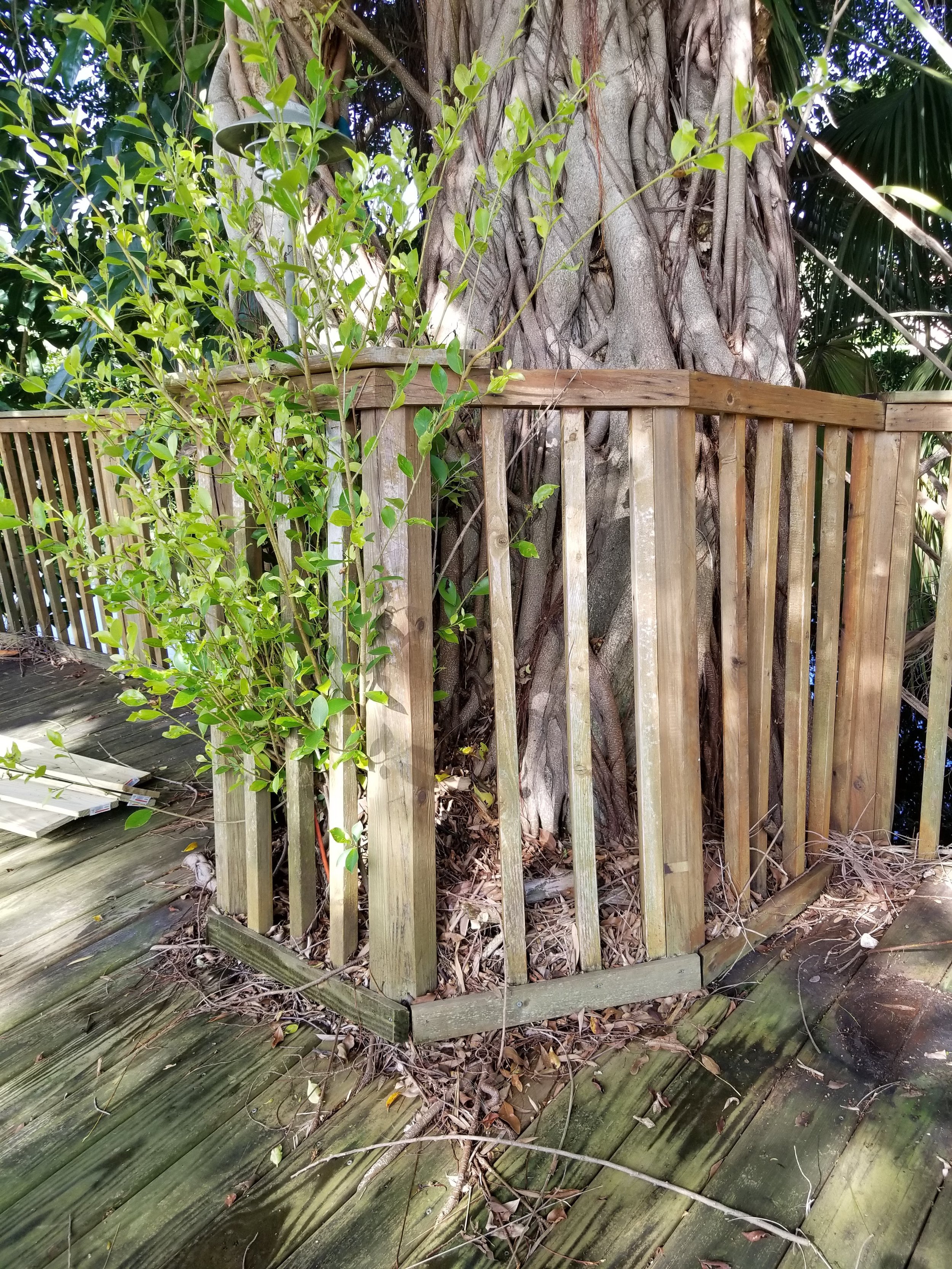 20180718_092419.jpg