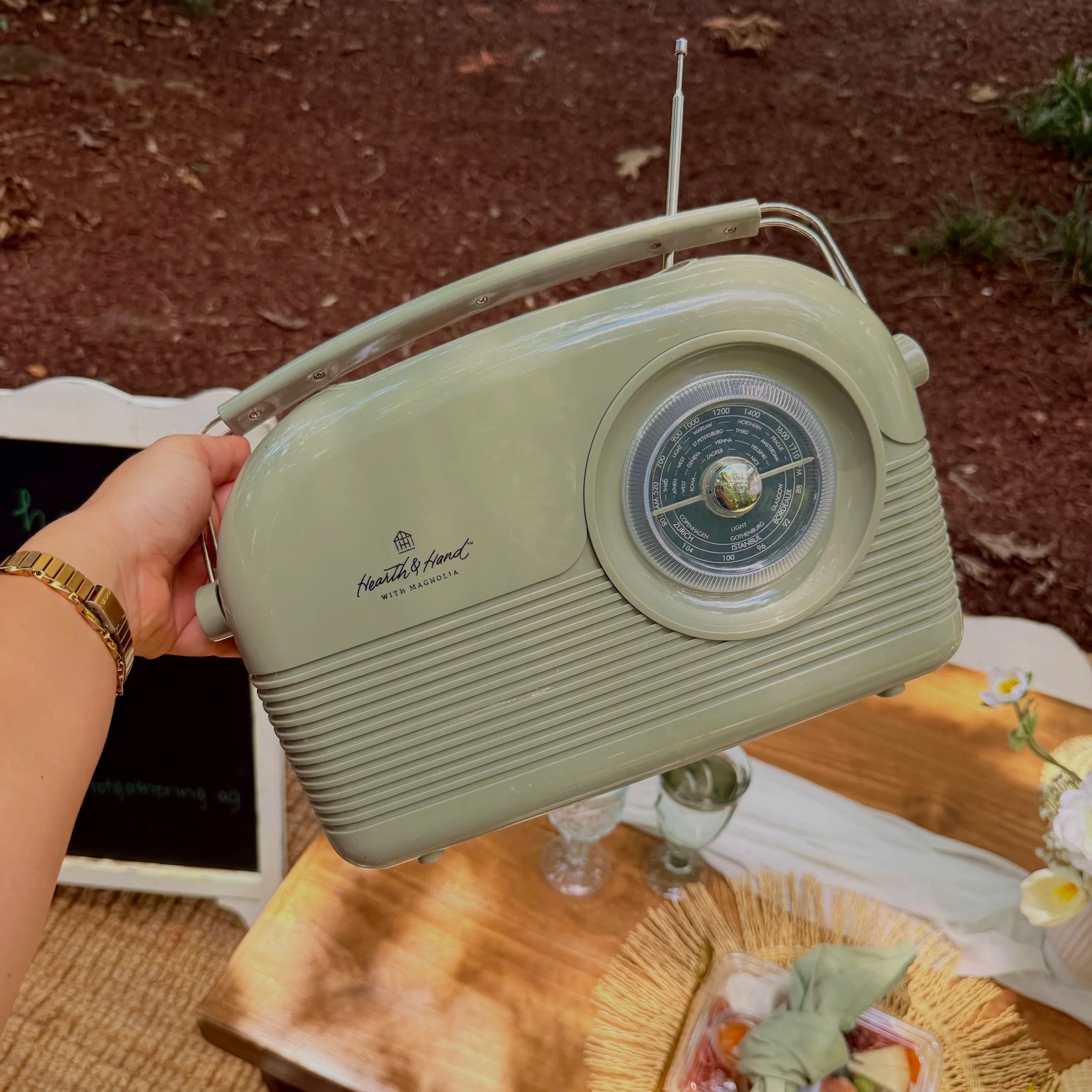 Bluetooth vintage speaker for all-inclusive luxury picnics in Raleigh, North Carolina