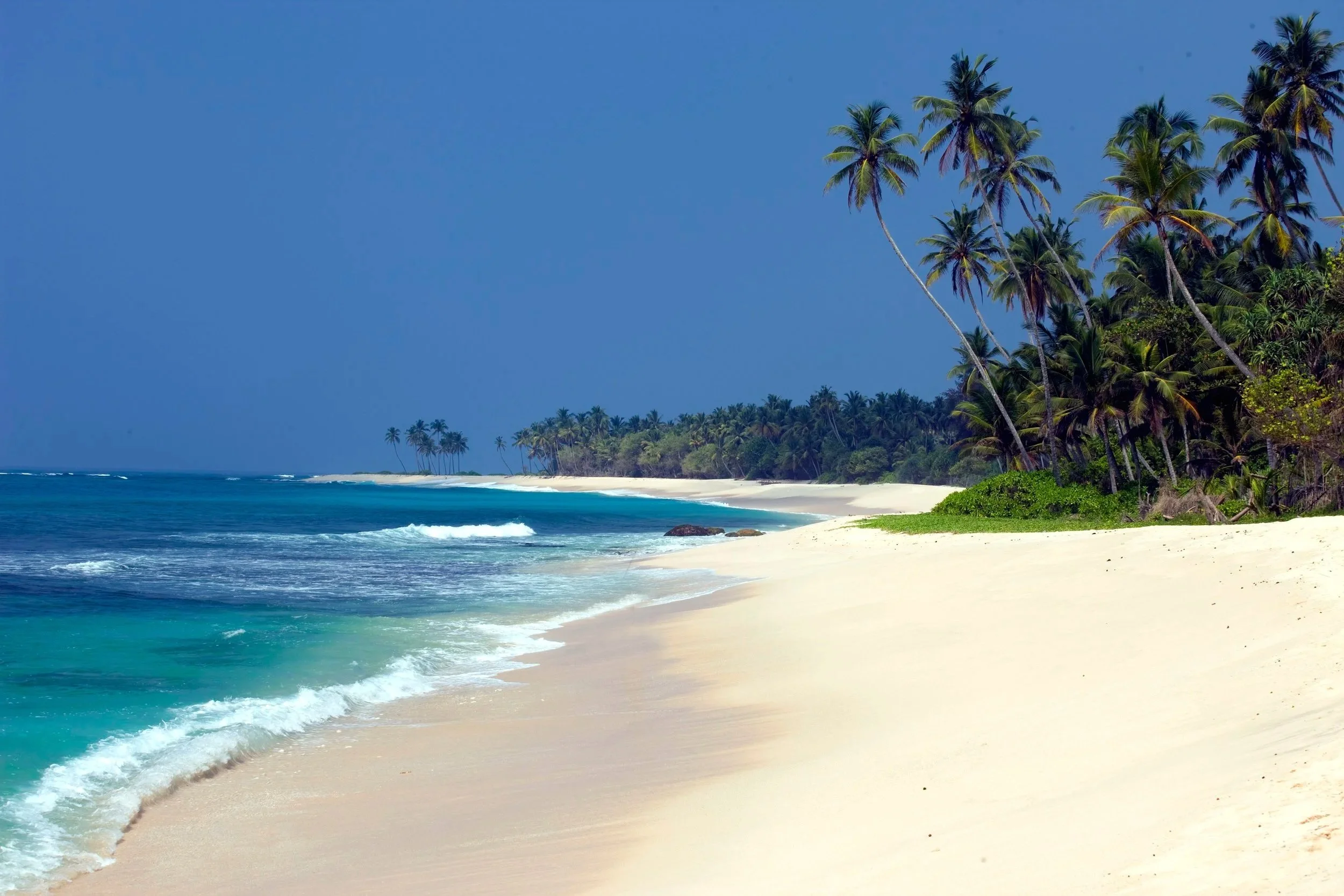Sri Lanka - die Inselapotheke