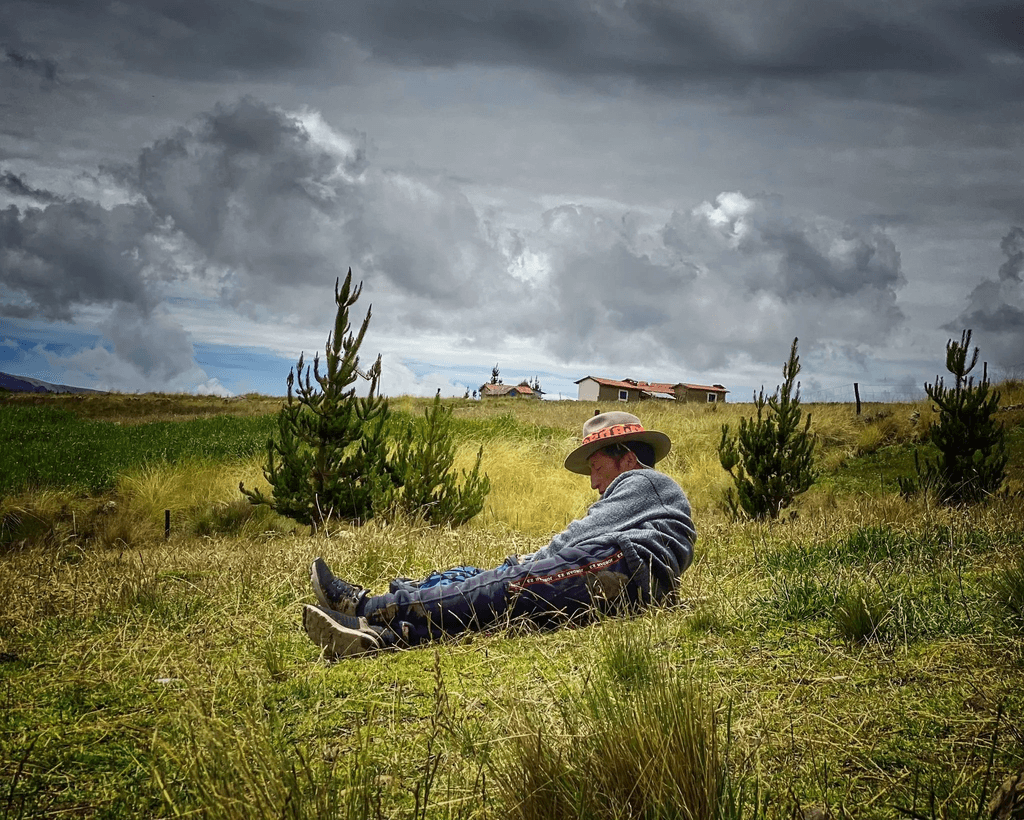 periaan-liggend-in-het-gras