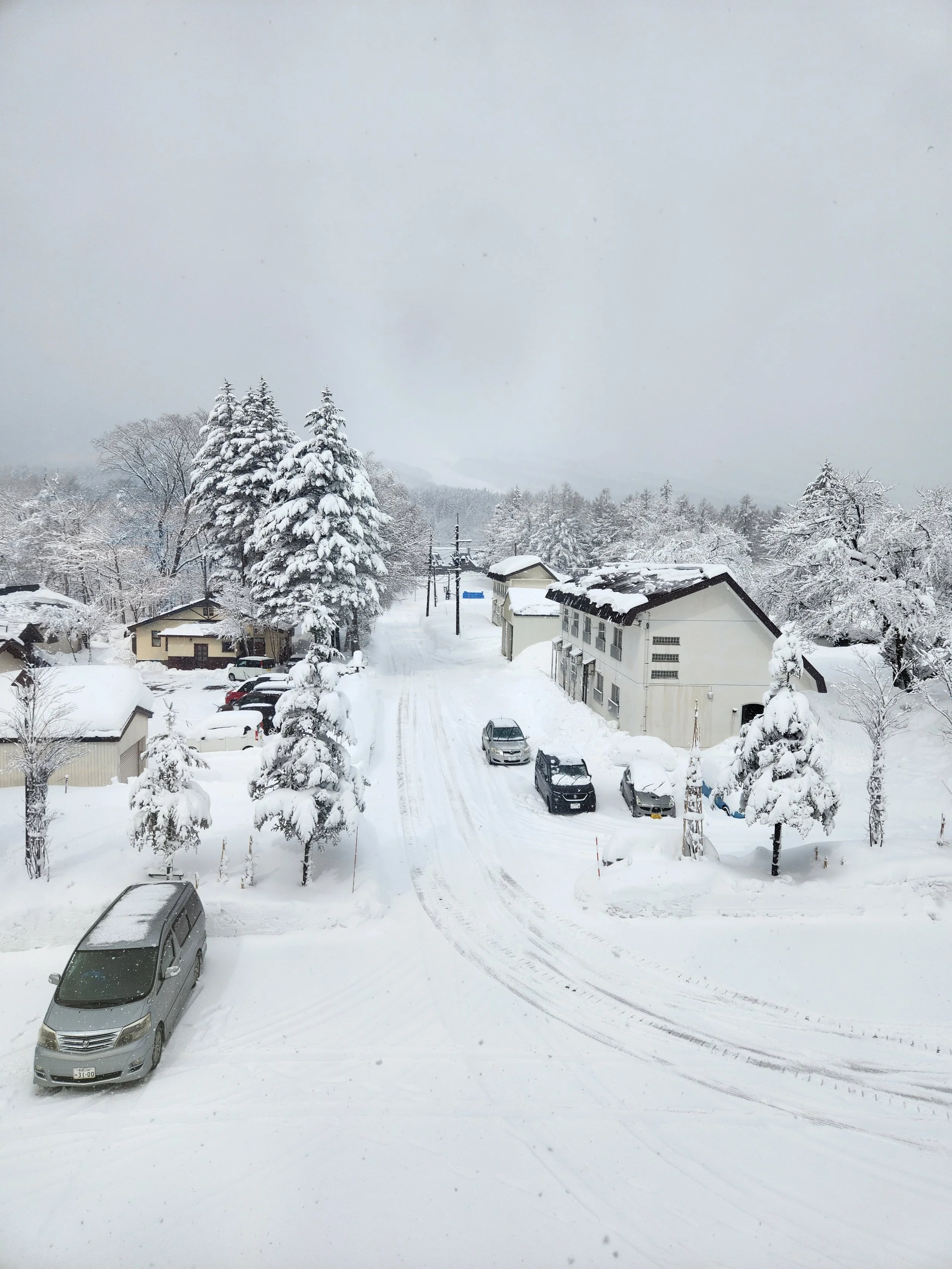 Why you should get a private car from Haneda or Narita Airport to Hakuba and what you can do along the way: The Ultimate 2026 Route Guide