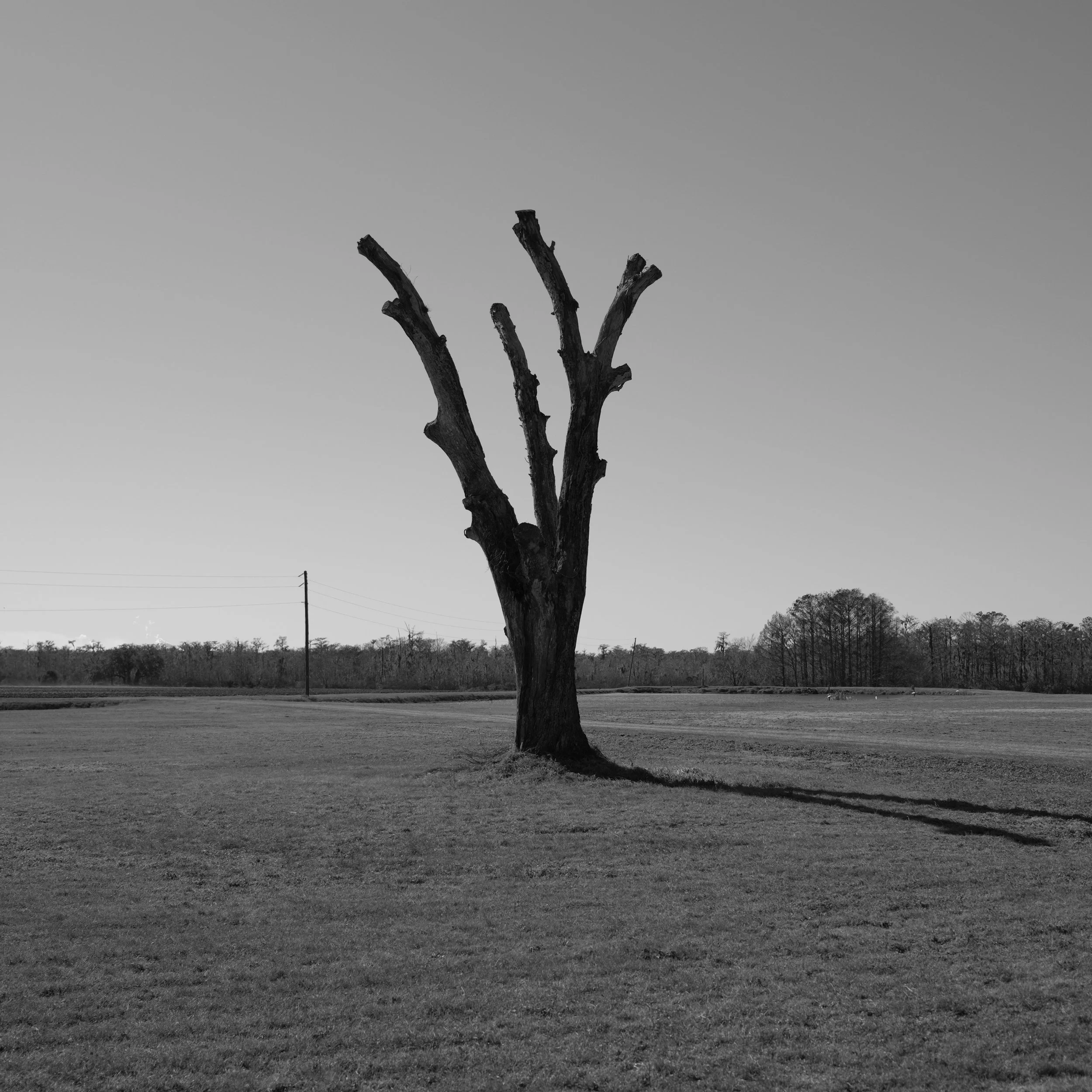 DSCF3051.JPG