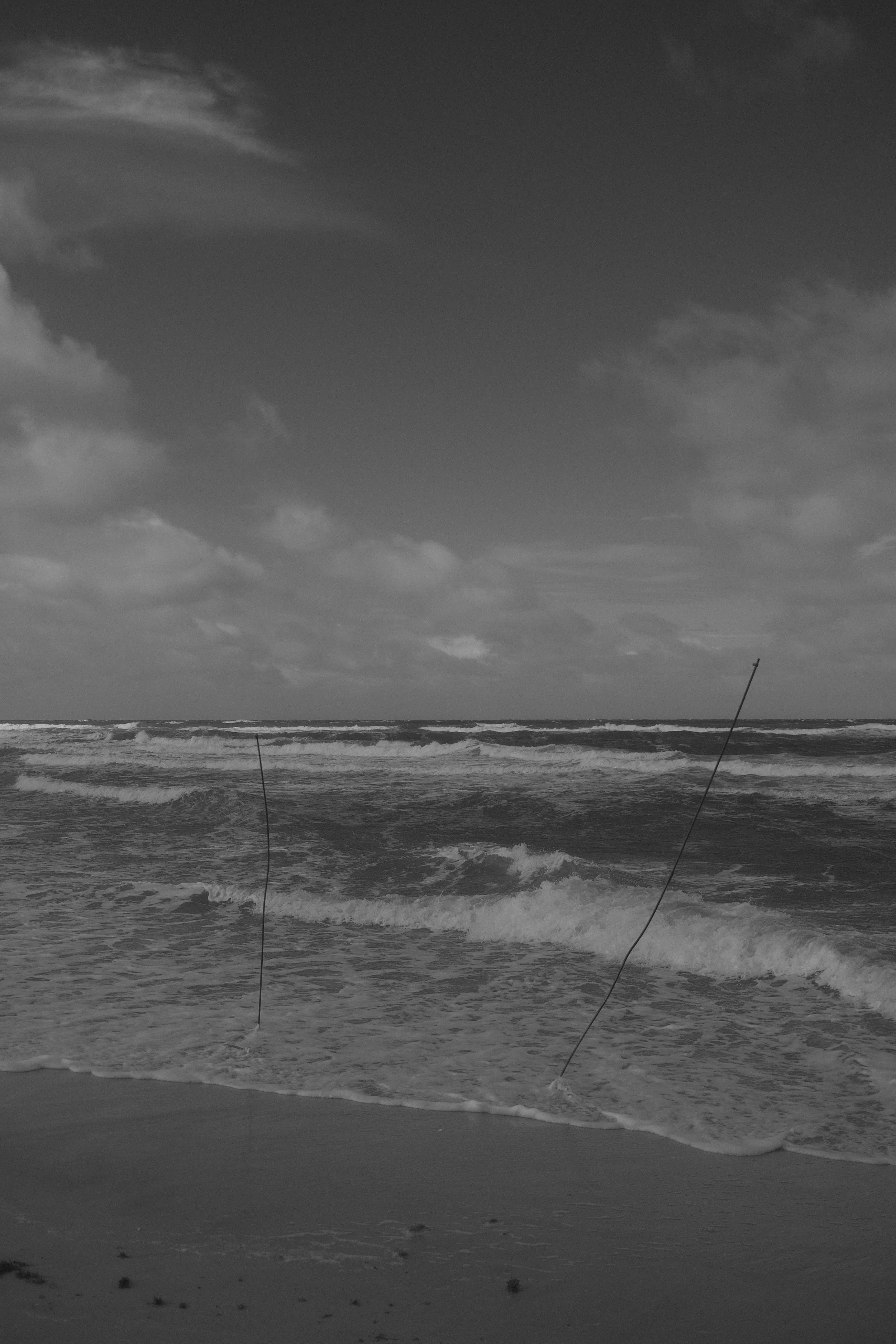 DSCF0786.JPG