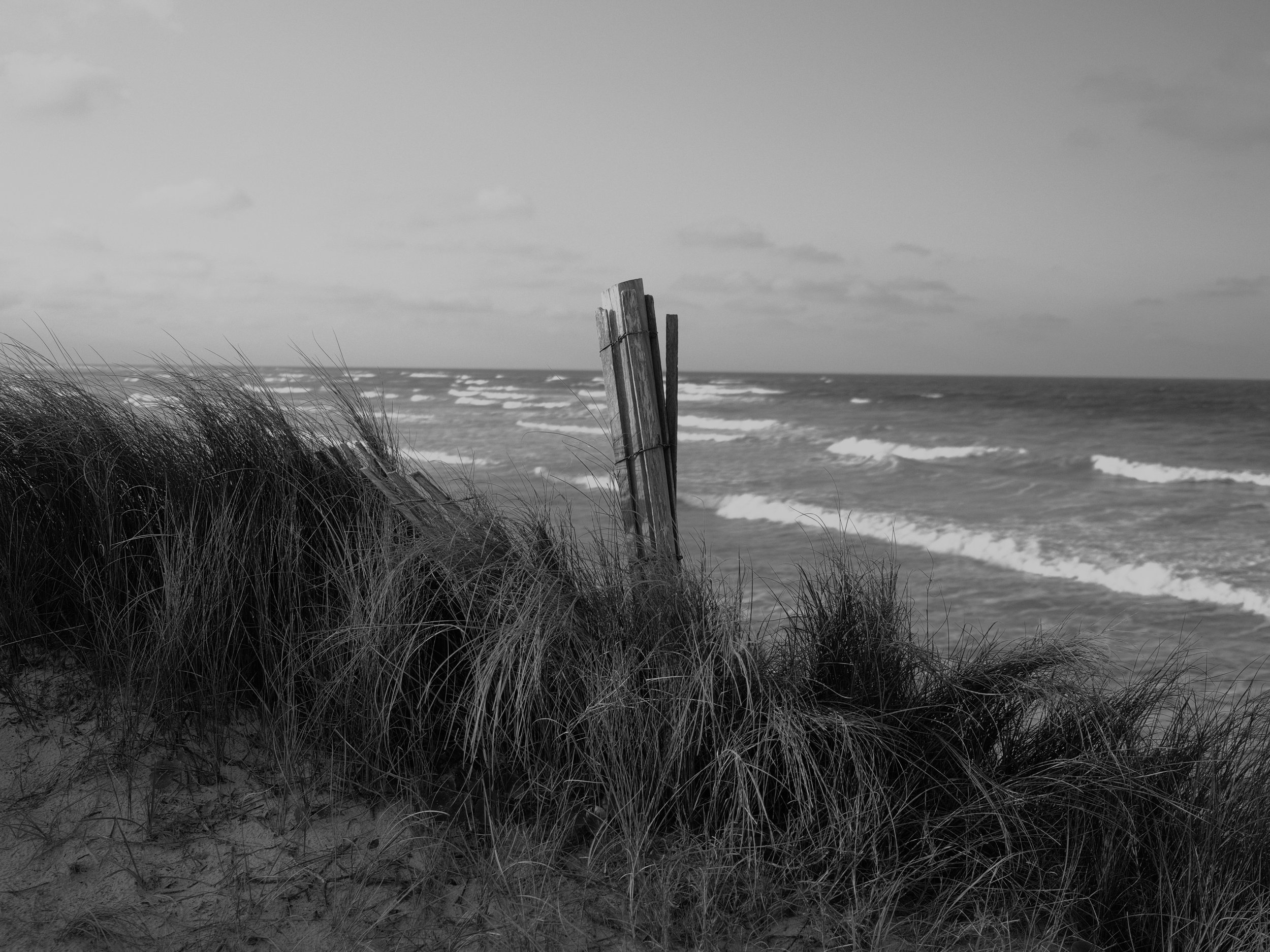 DSCF0686.jpg