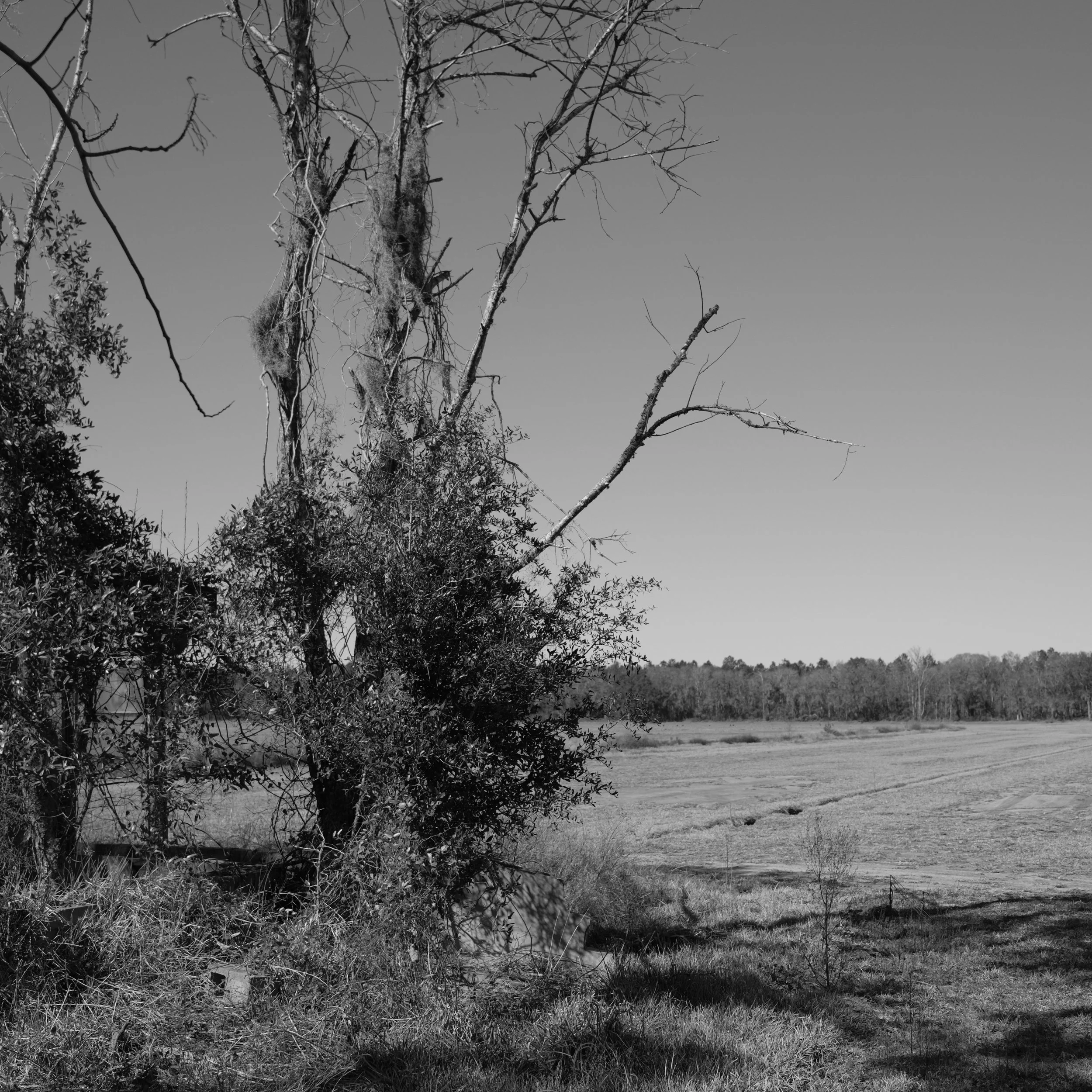 DSCF3020.JPG