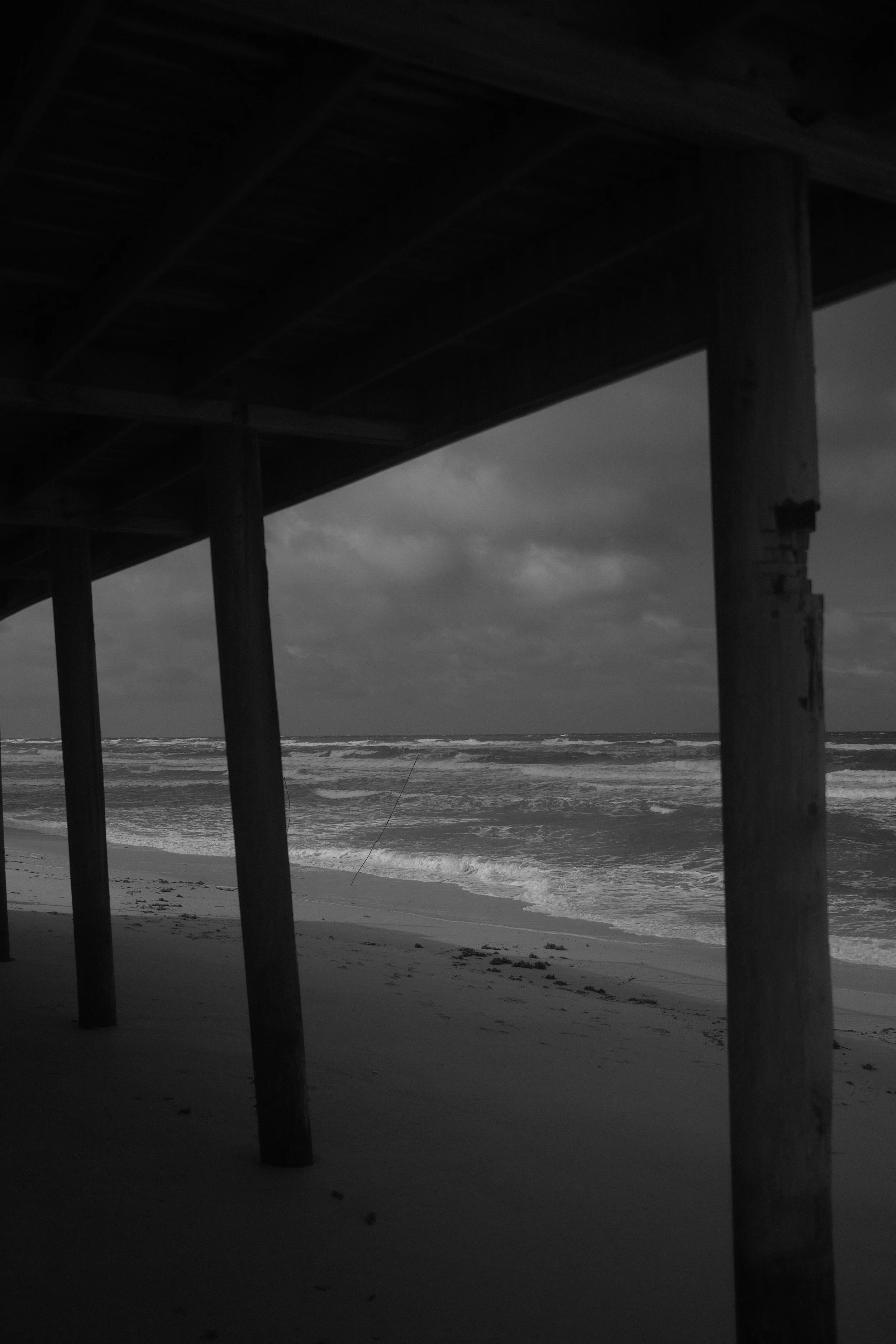 DSCF0775.JPG