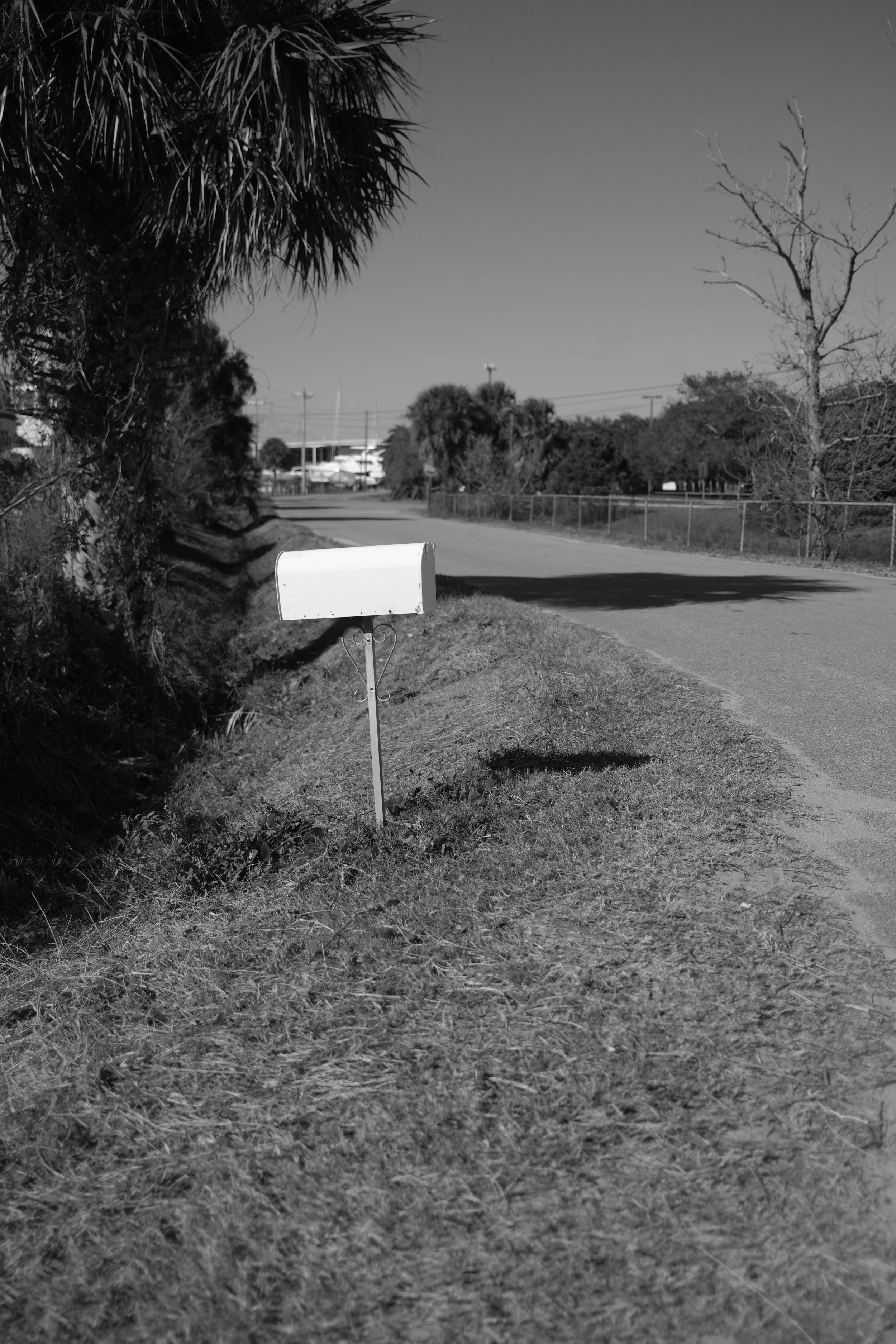 DSCF2757.JPG