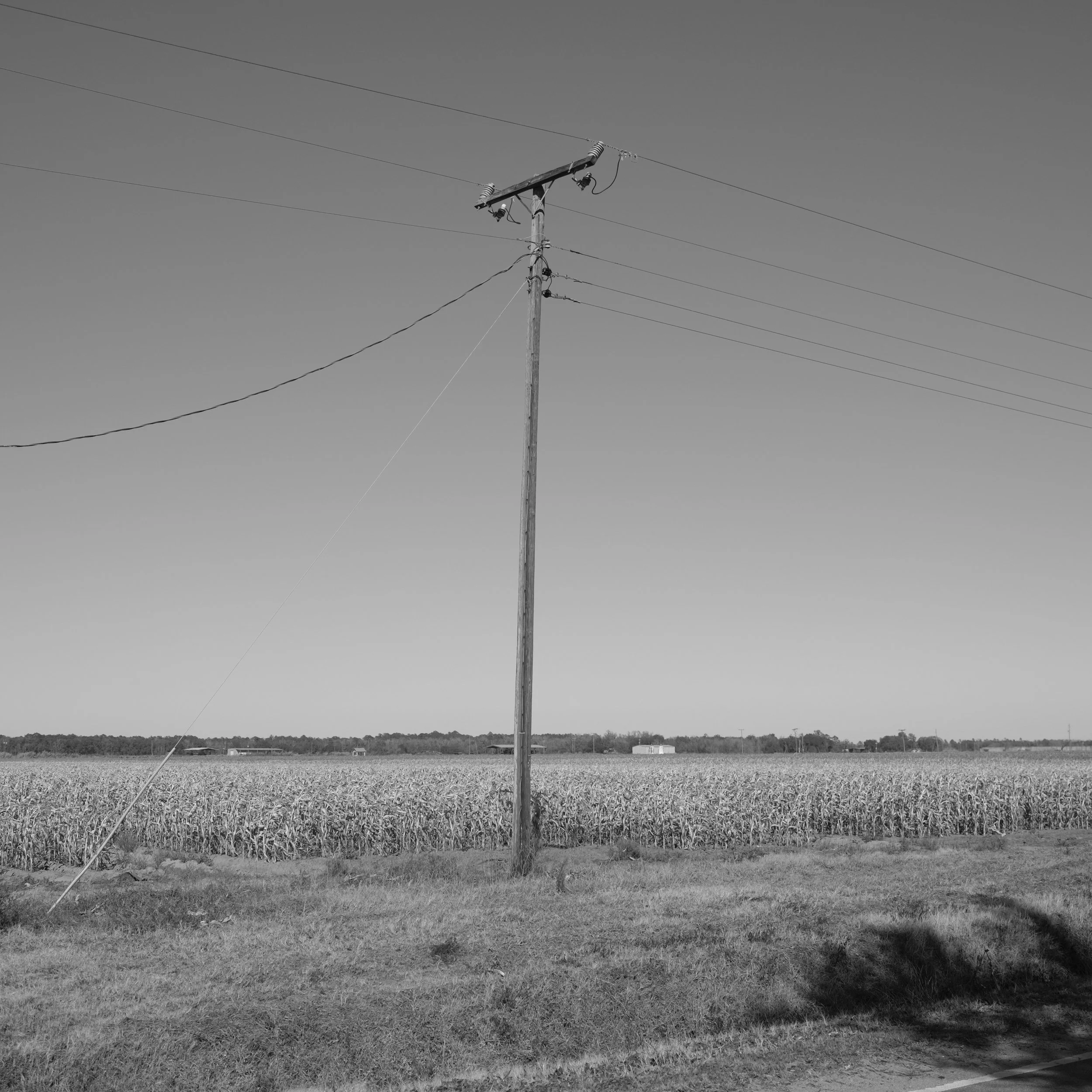 DSCF3056.JPG