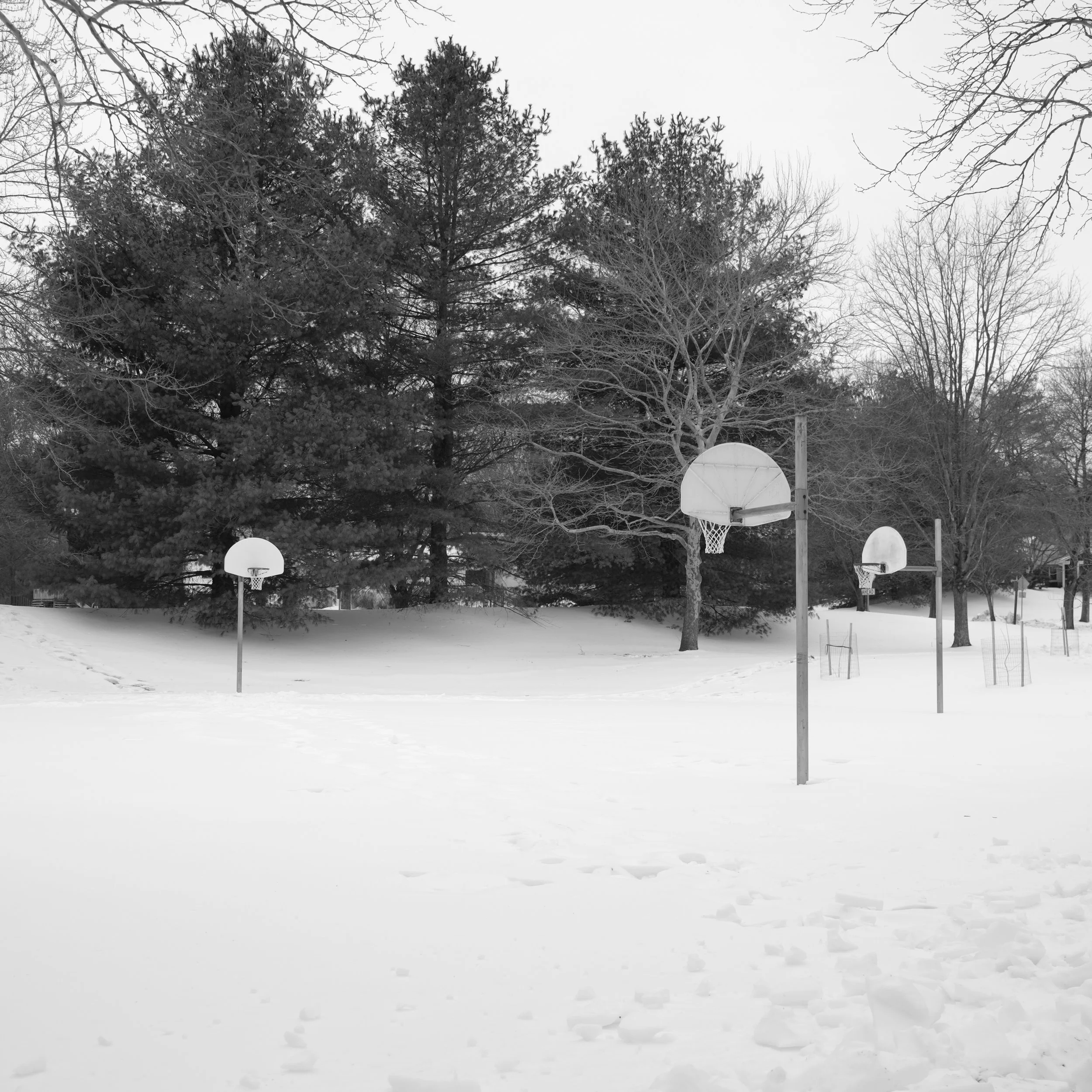 DSCF3077.JPG