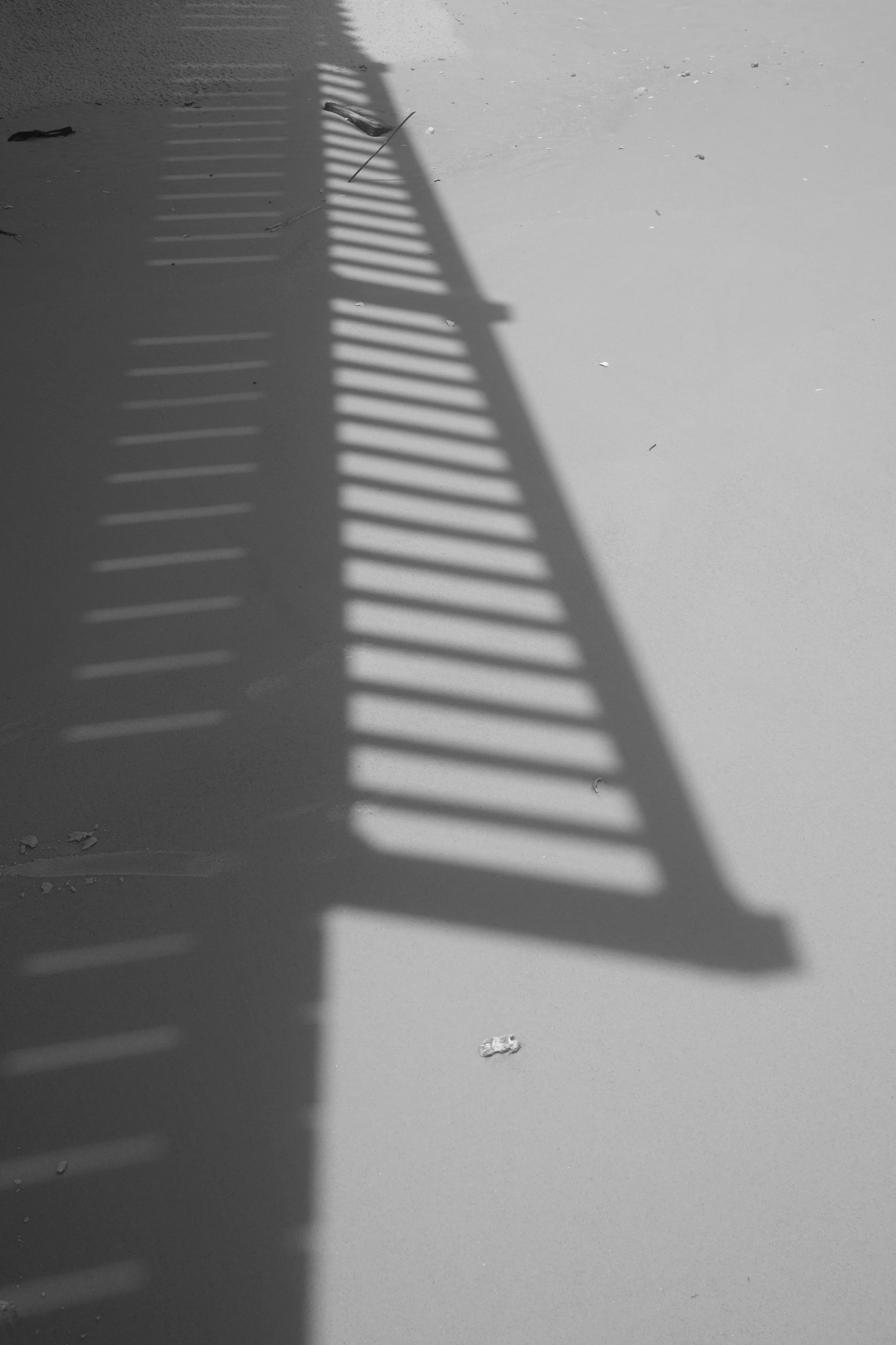dscf0890.JPG