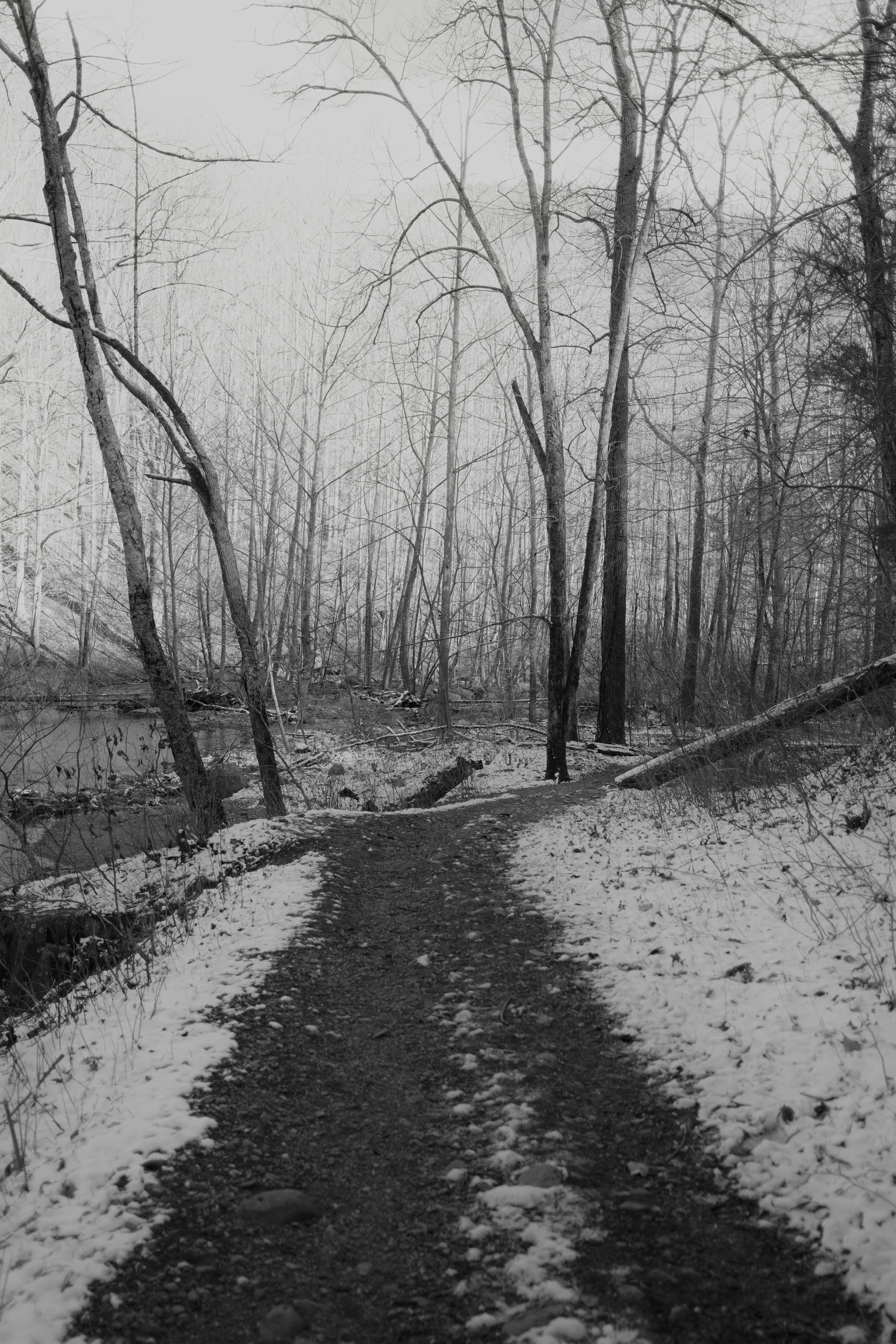 DSCF1074.jpg