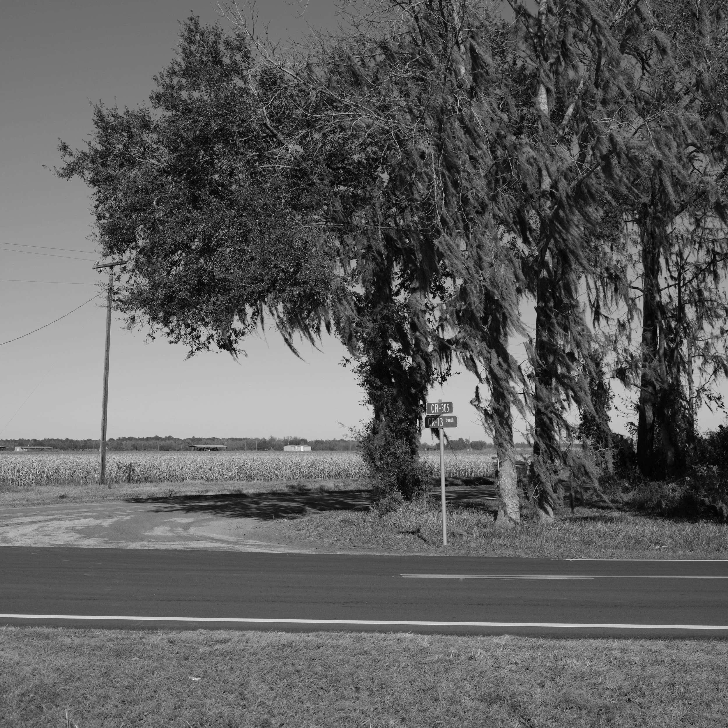 DSCF3054.JPG