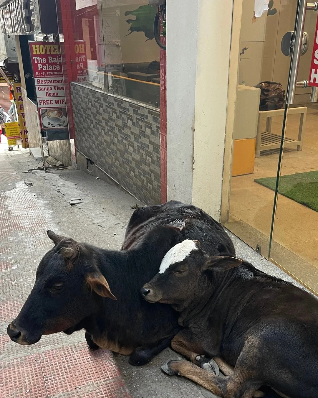 STREETS OF RISHIKESH