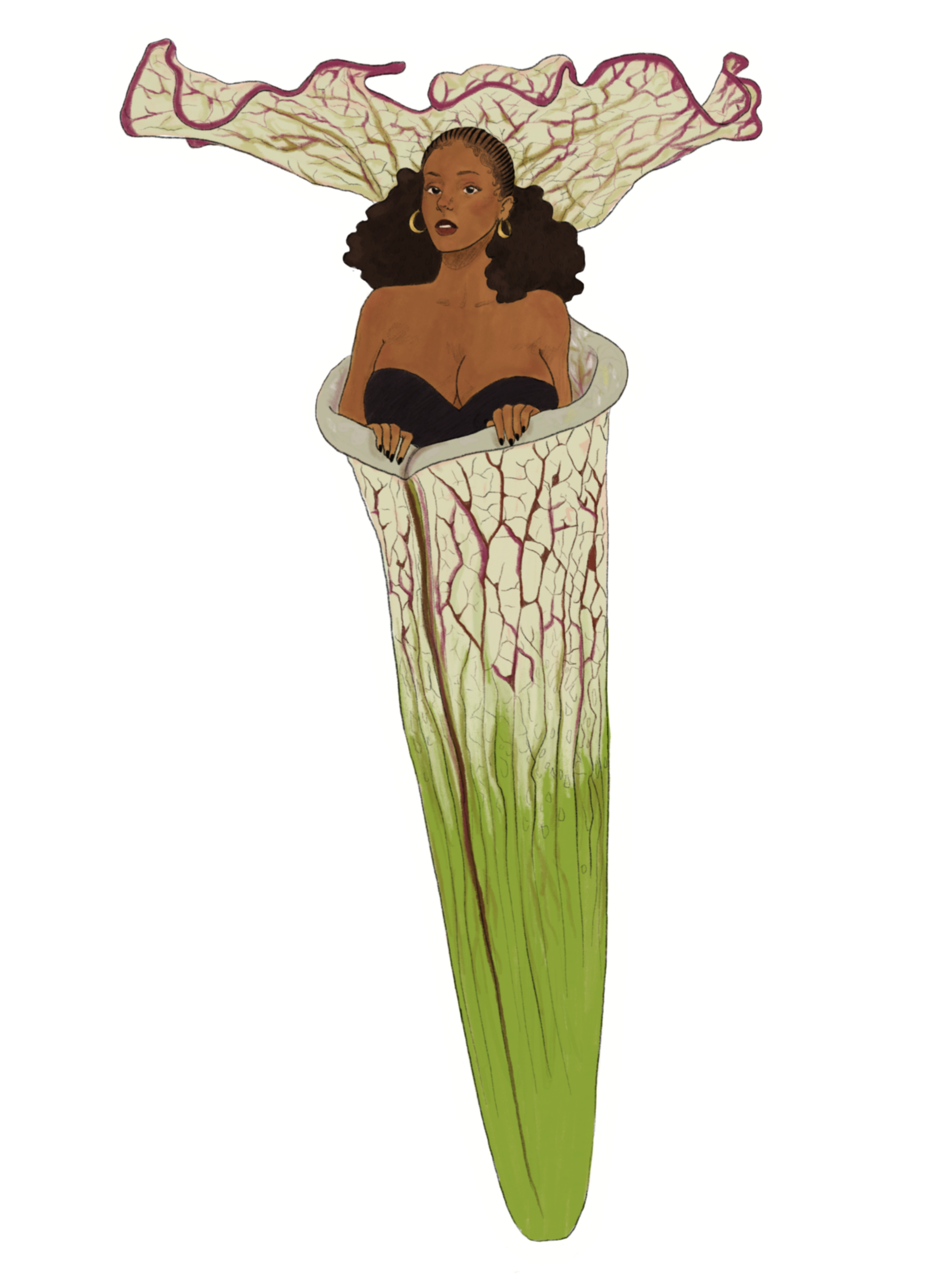 In Pitcher White Background.PNG
