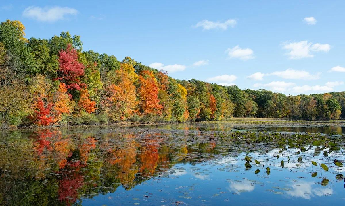 Huron-Clinton Metroparks - Comprehensive Community Study