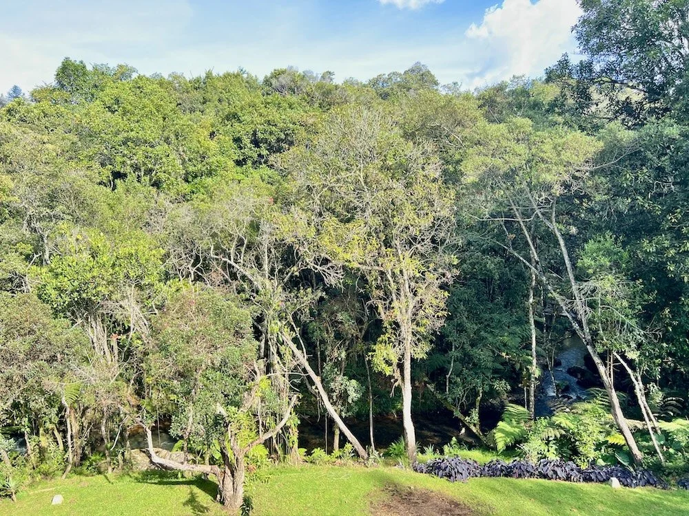 Casa del Rio Envigado: ExpatCrib2.JPG