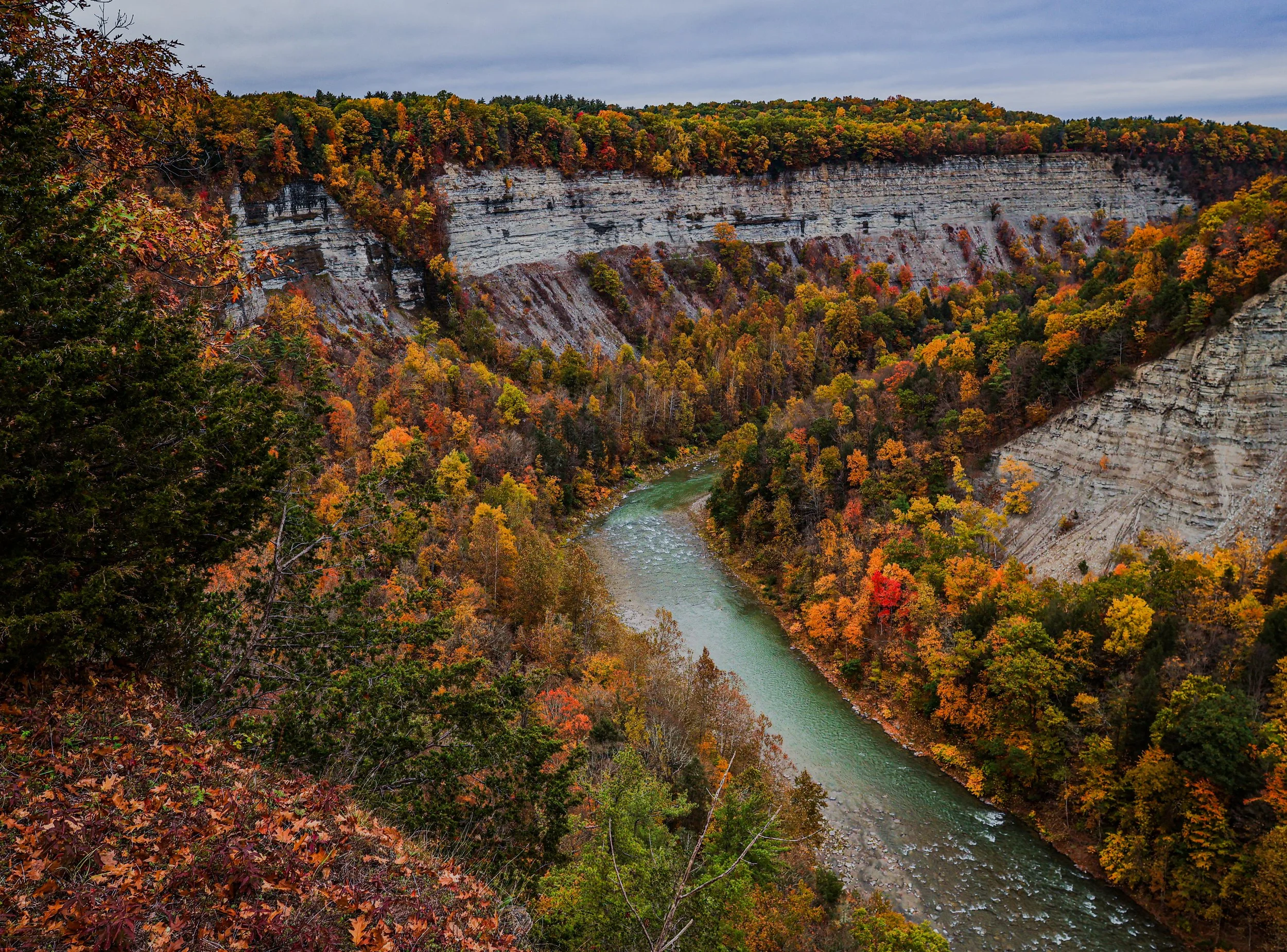 Letchworth in Fall