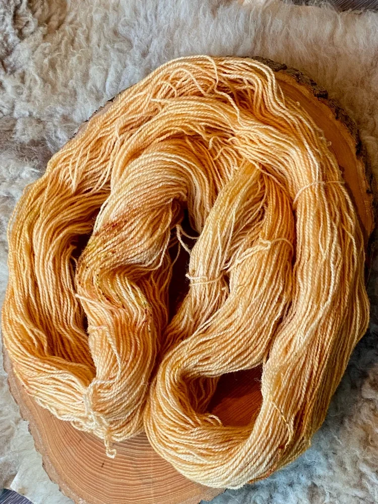 Apricotmitsprenkel6.webp