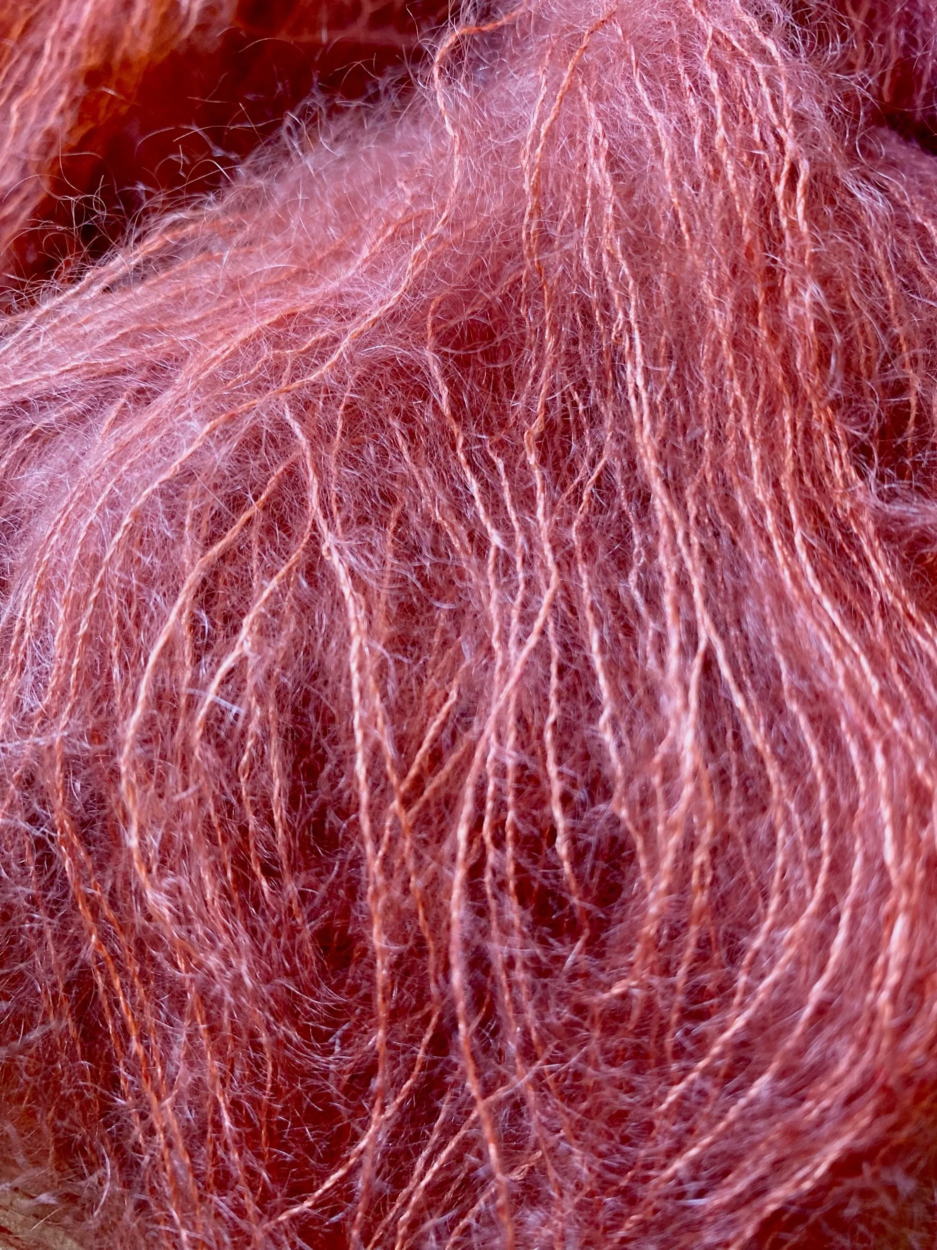 1A584DE2-5740-424A-A0AC-789BE5905A51.jpeg