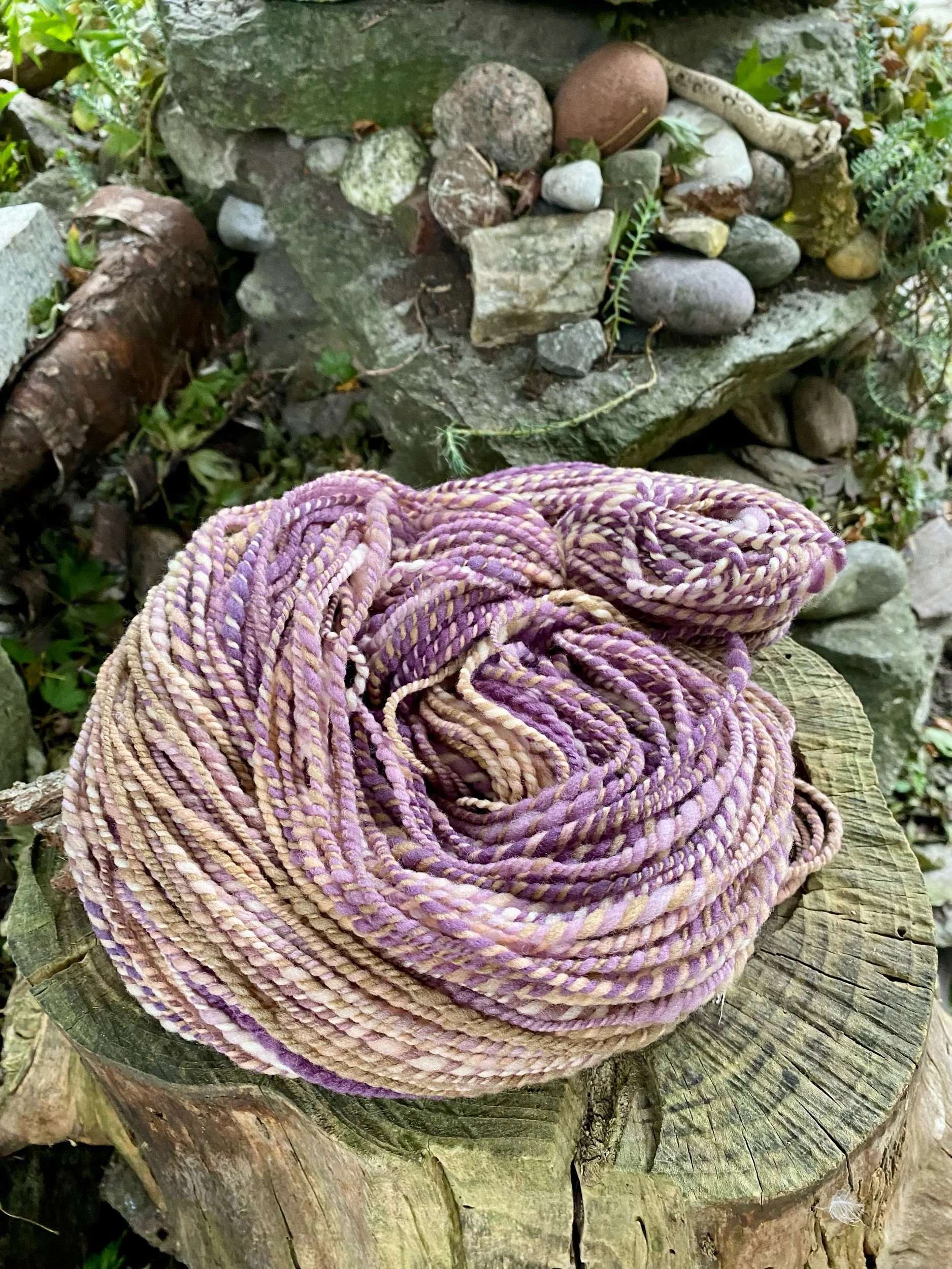 65532B0F-C43A-4F4F-B44A-6983D7F27018.jpeg