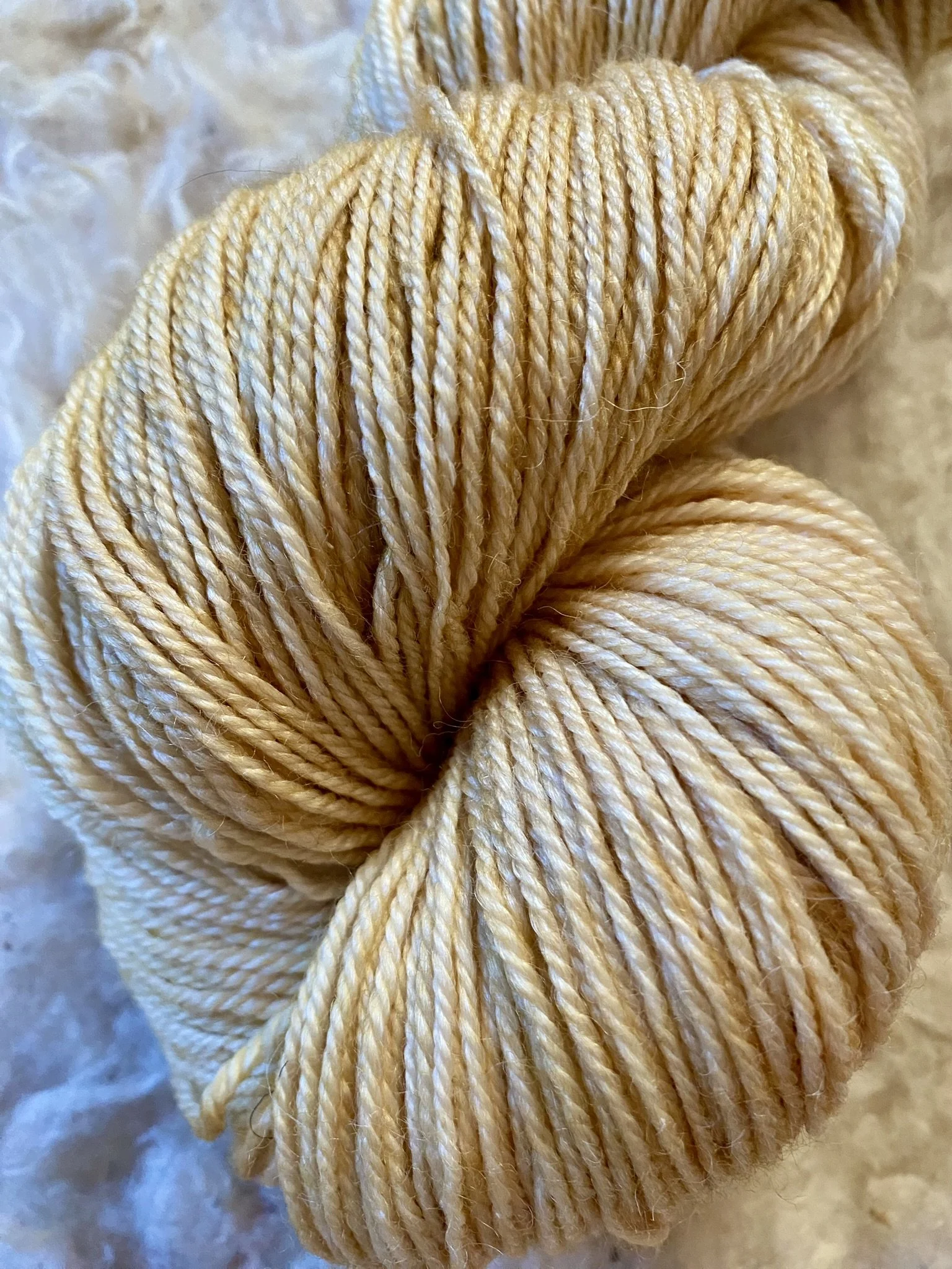 IMG_9289.JPEG