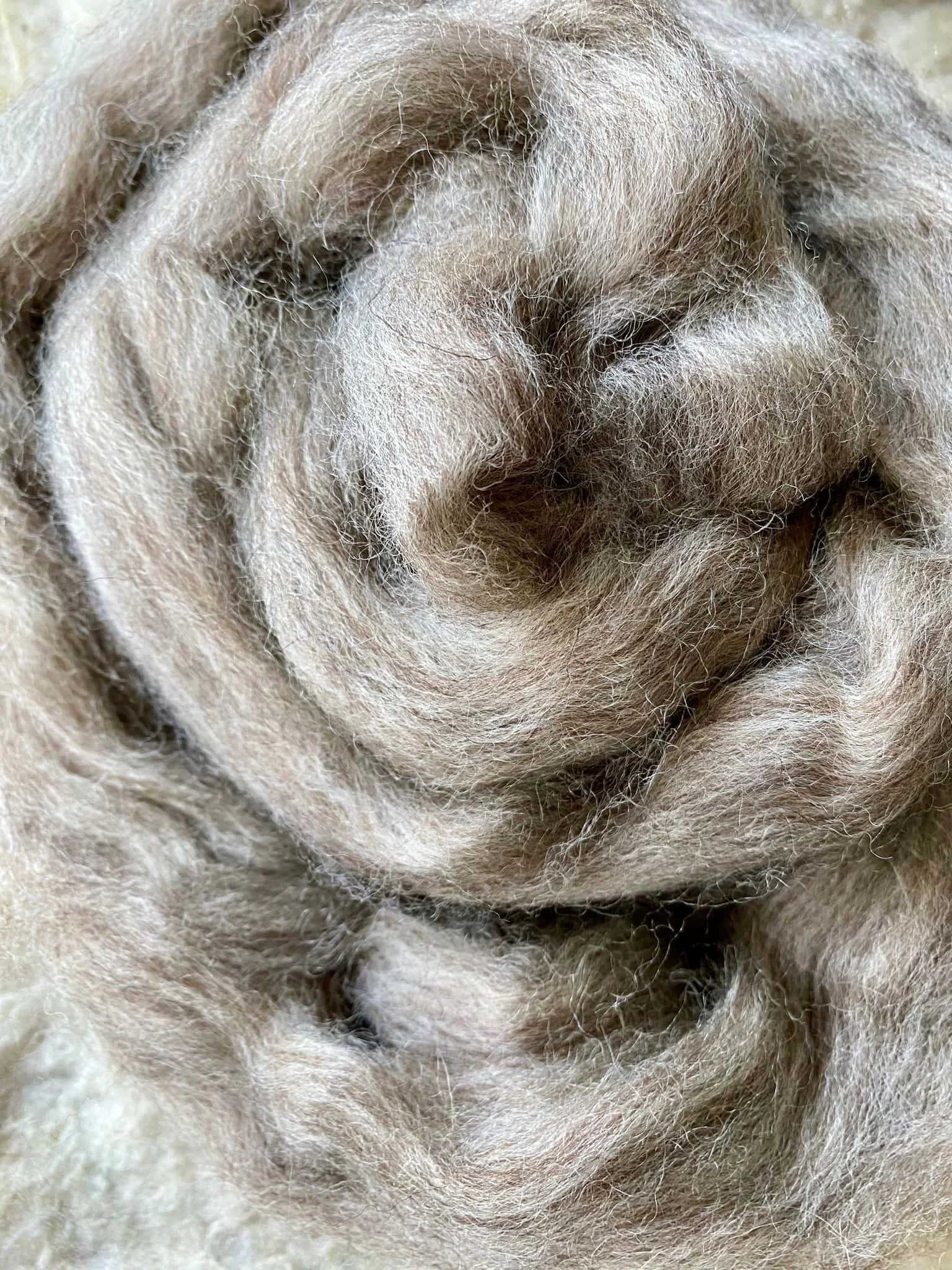 Nahaufnahme von Spinnfasern aus Wolle in natürlichem graubraunem Farbton