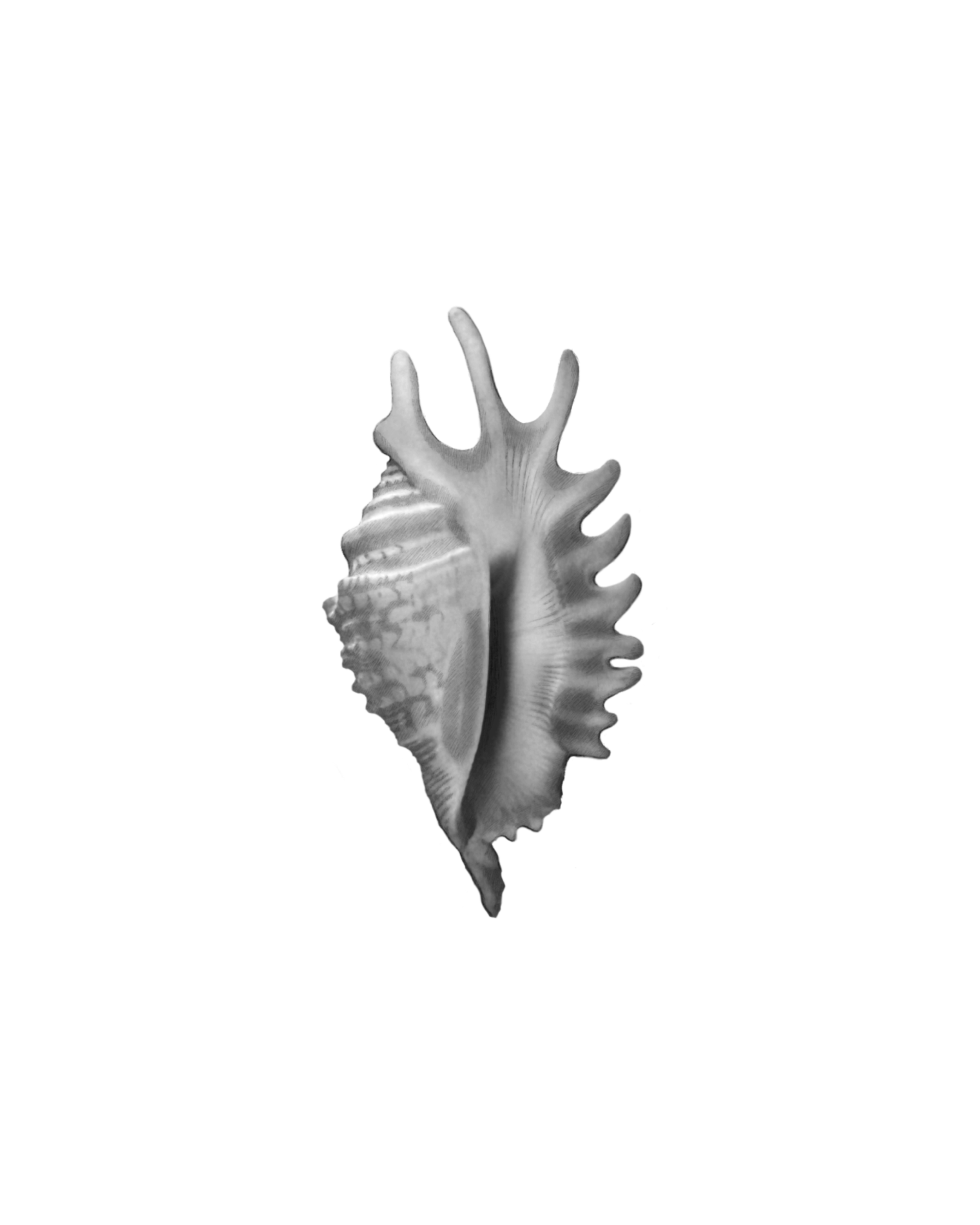 Untitled_Artwork 87.png