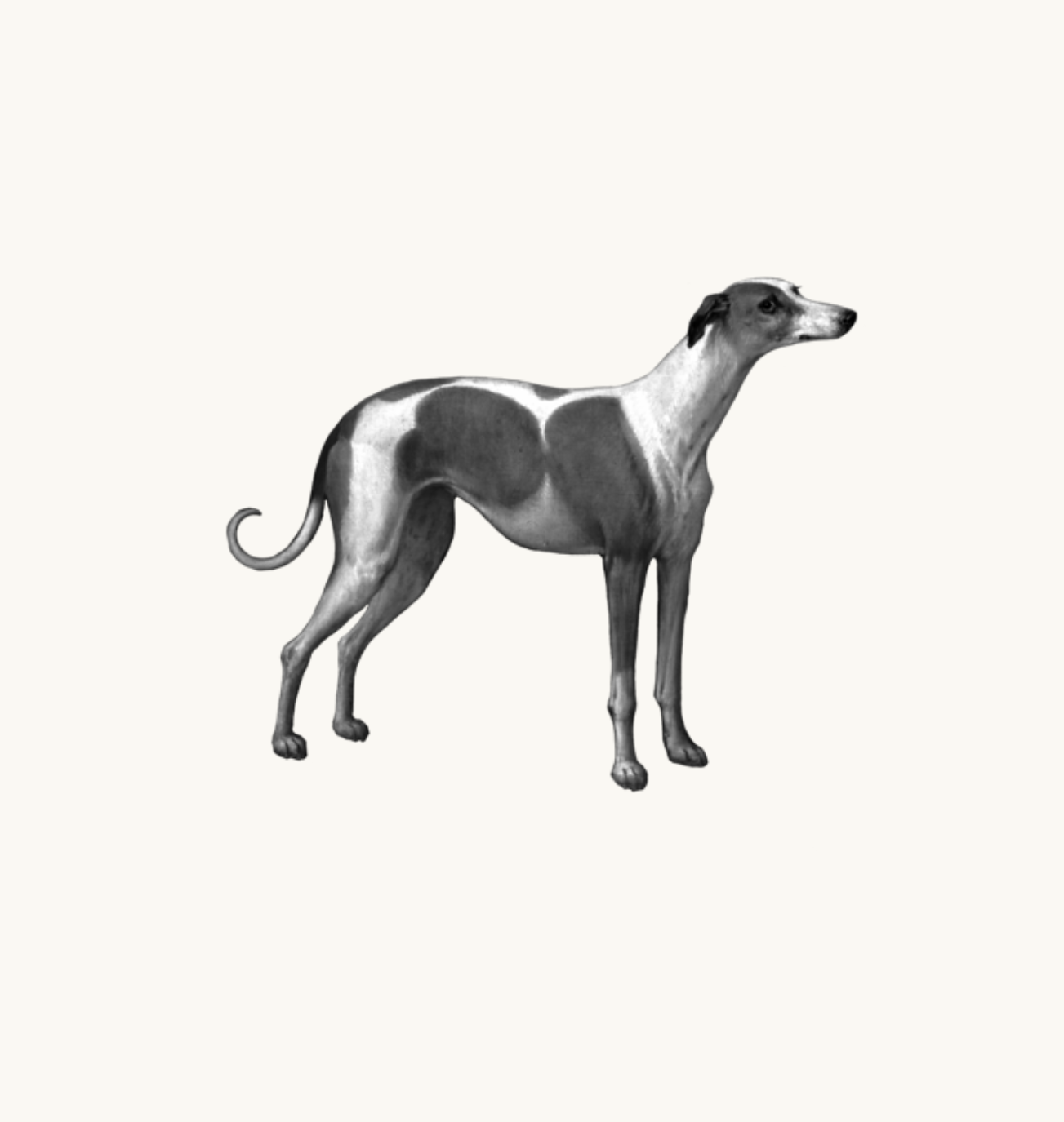 Untitled_Artwork 72.png