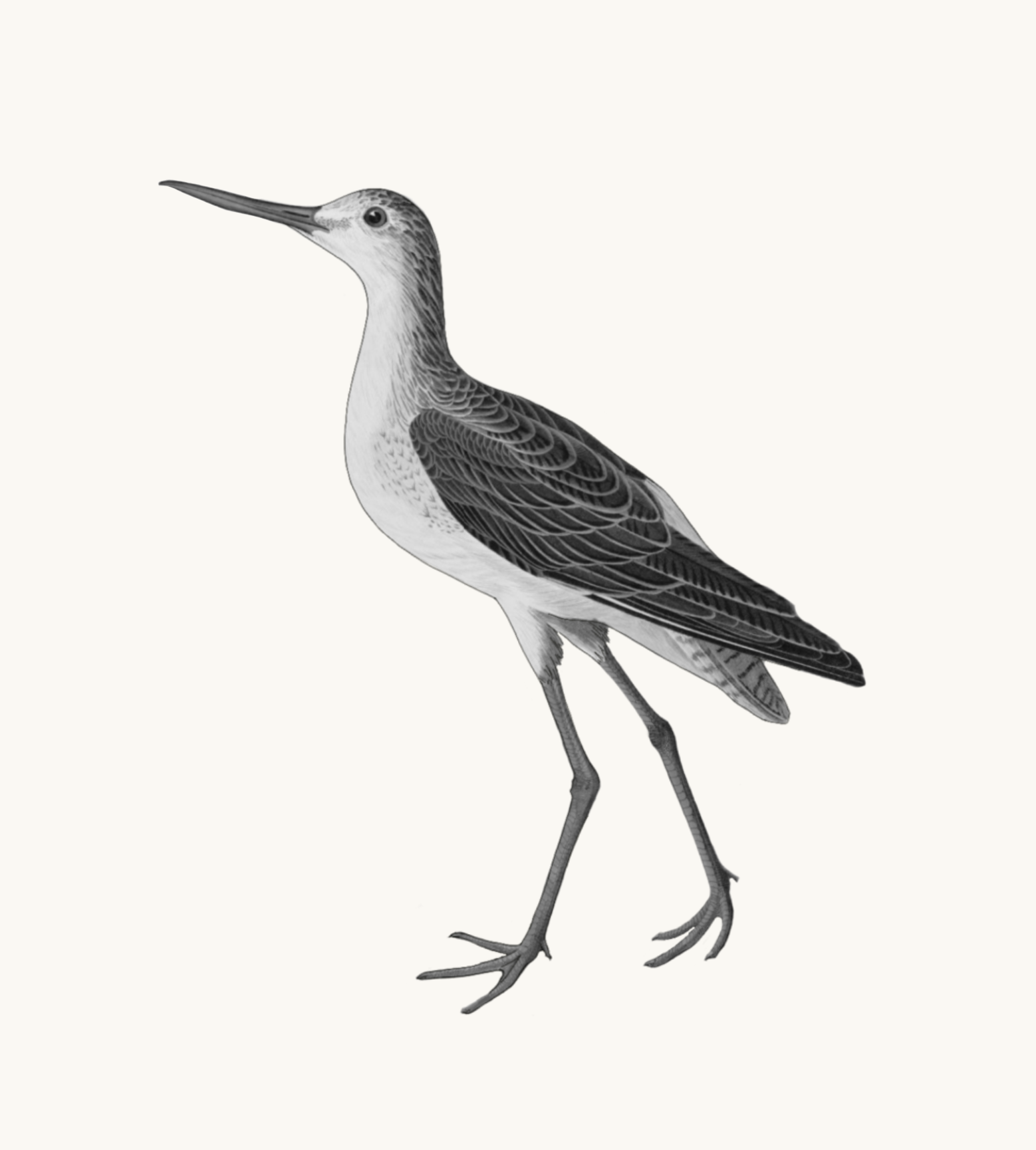 Untitled_Artwork 73.png