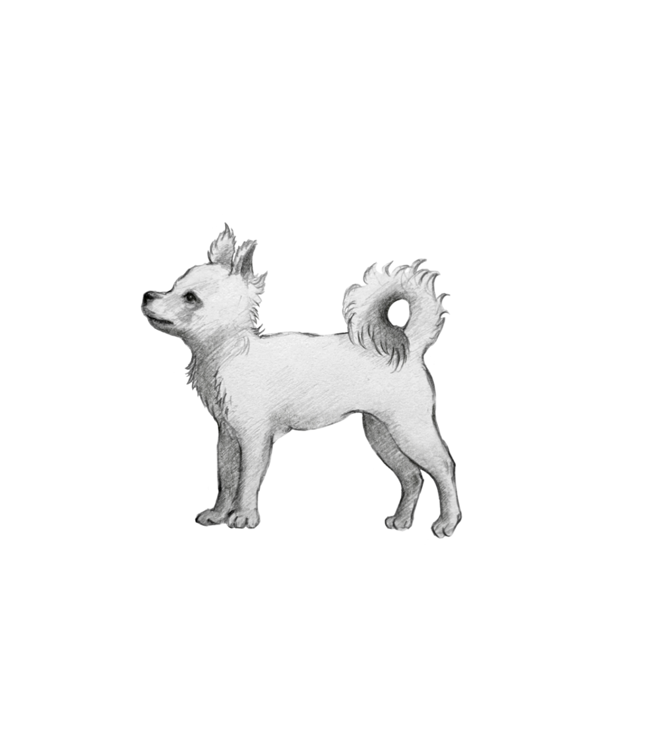 Untitled_Artwork 114.png