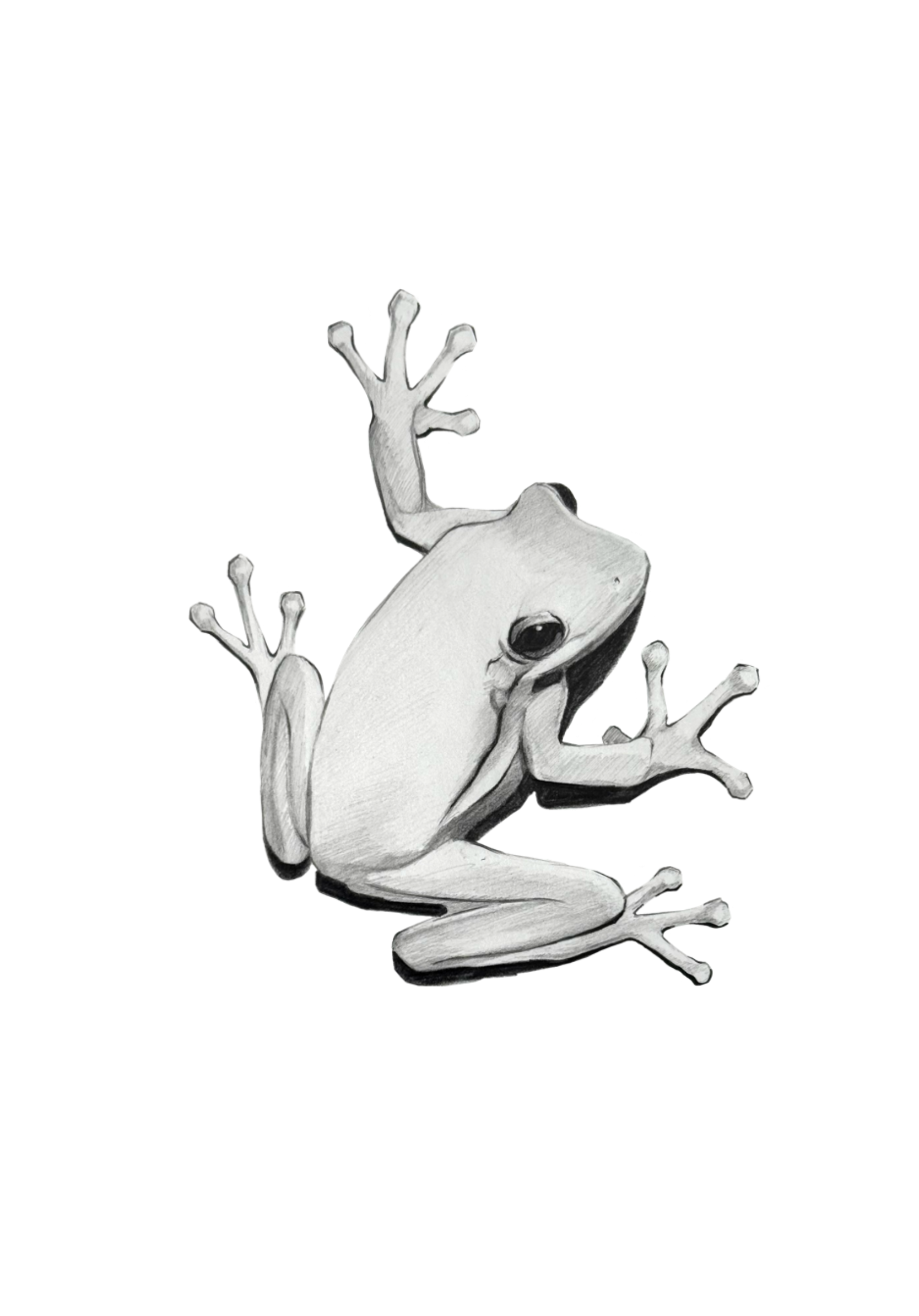 Untitled_Artwork 105.png