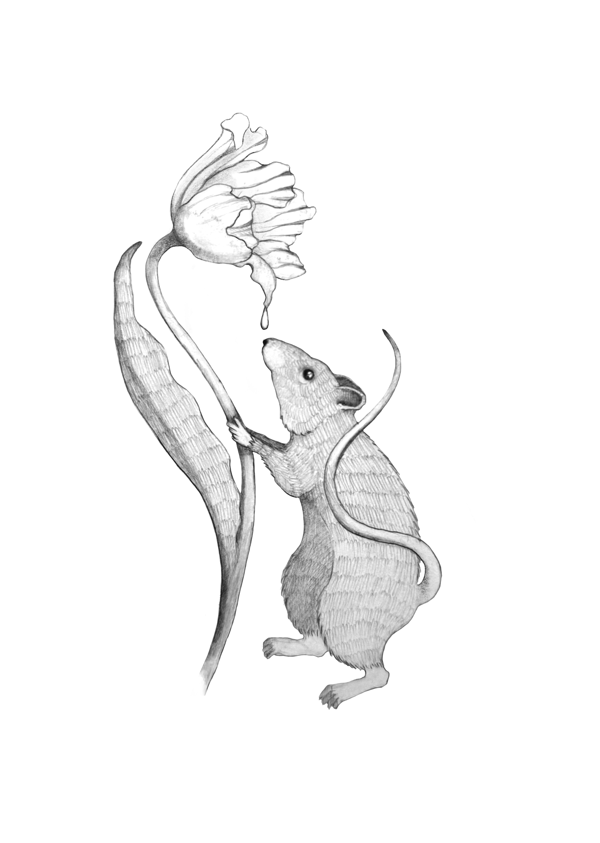 Untitled_Artwork 108.png