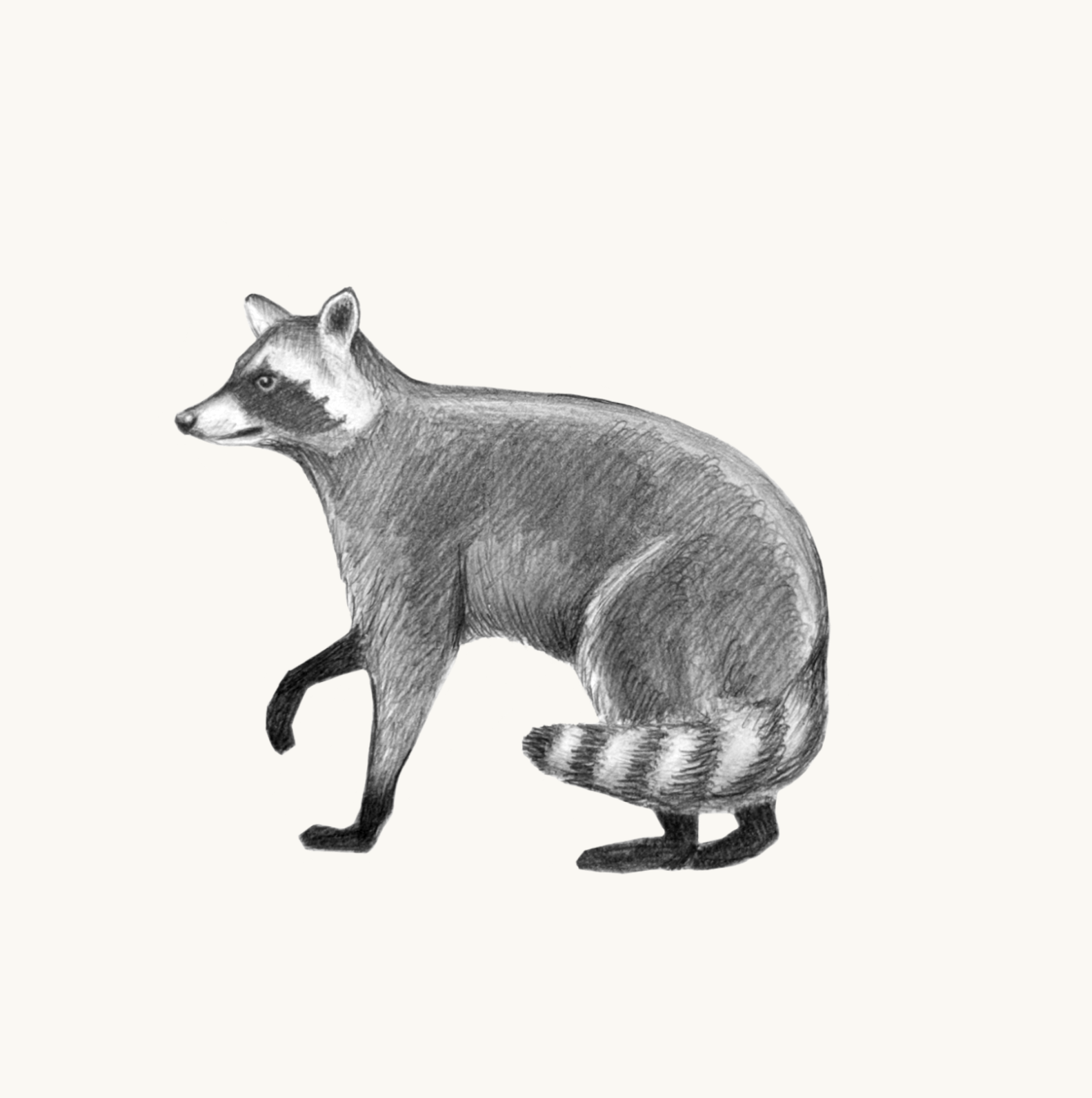 Untitled_Artwork 78.png