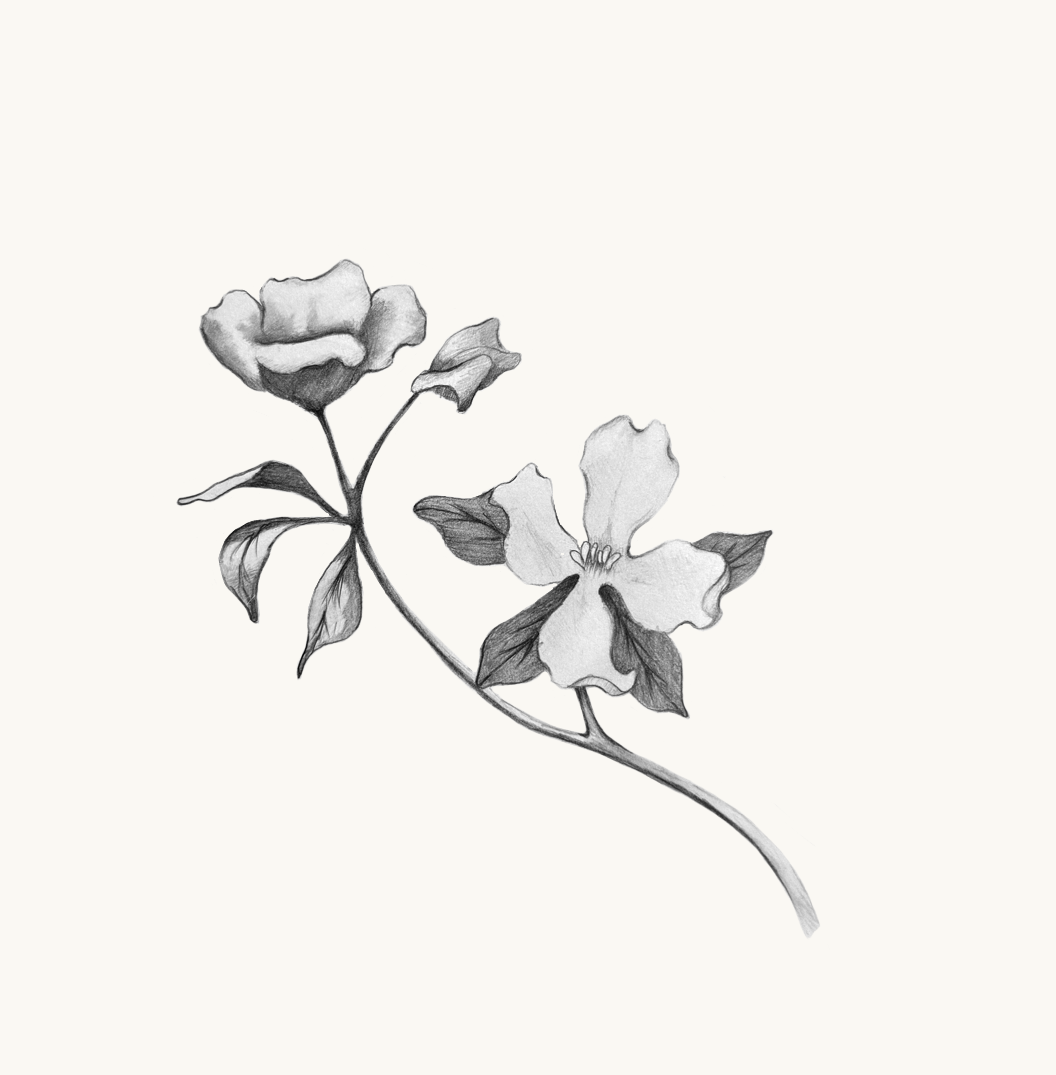 Untitled_Artwork 75.png