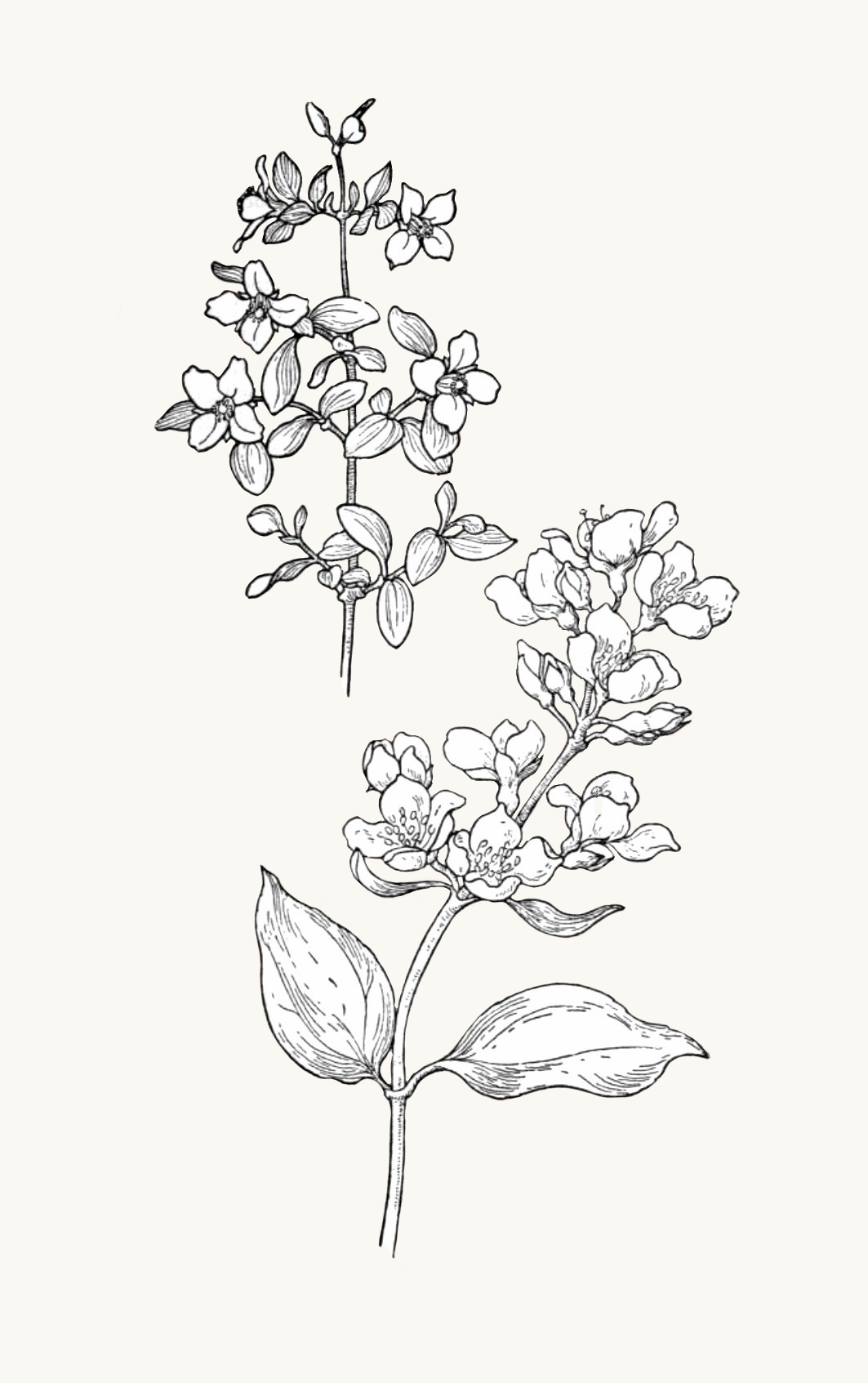 IMG_9993.png