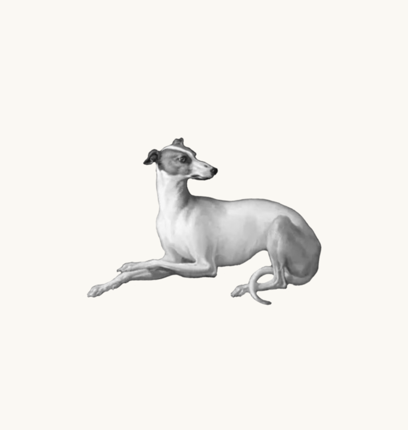 Untitled_Artwork 70.png
