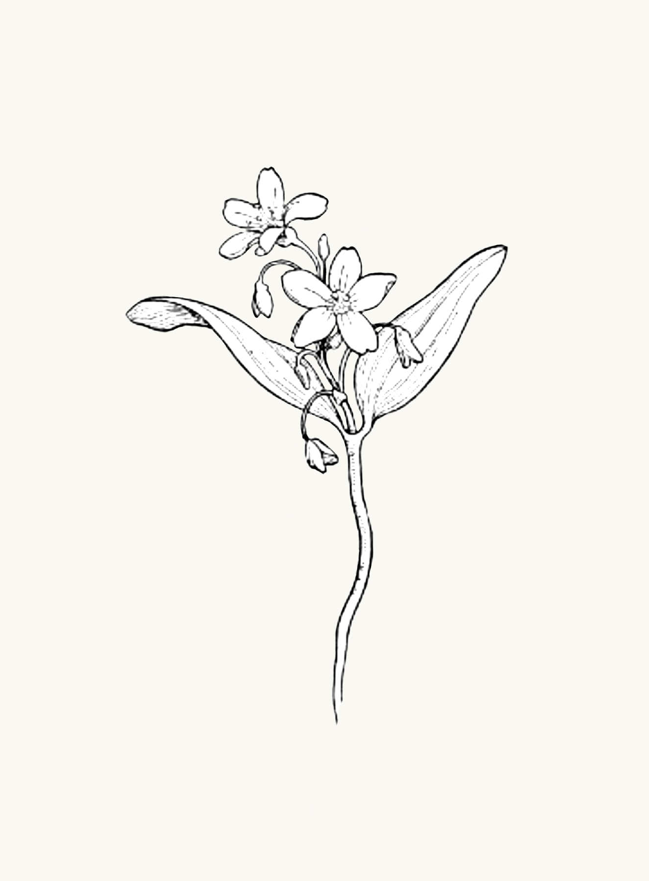 Untitled_Artwork 80.png