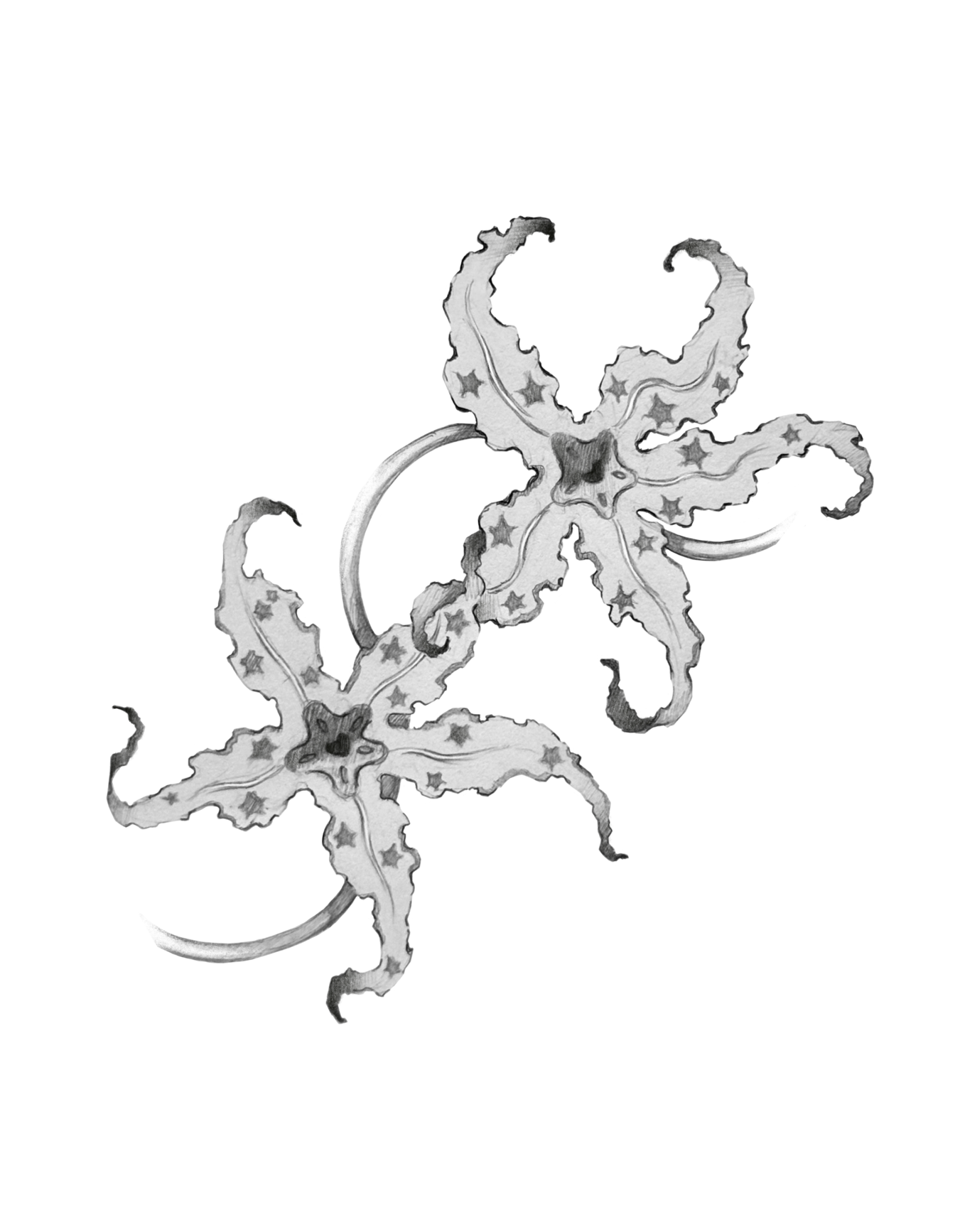 Untitled_Artwork 112.png