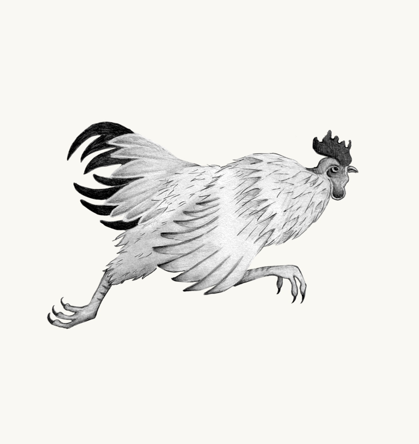 Untitled_Artwork 76.png