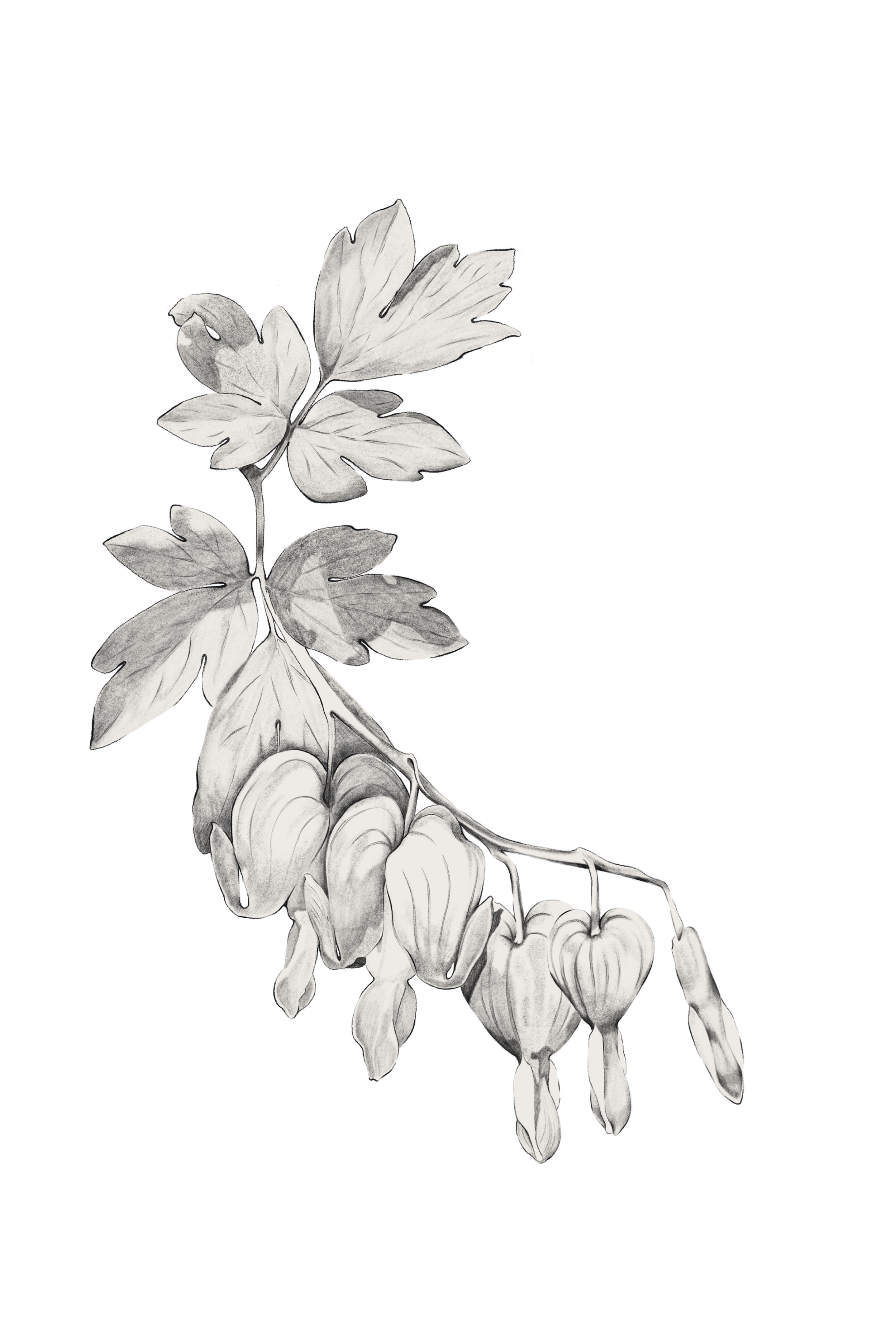 Untitled_Artwork 110.png