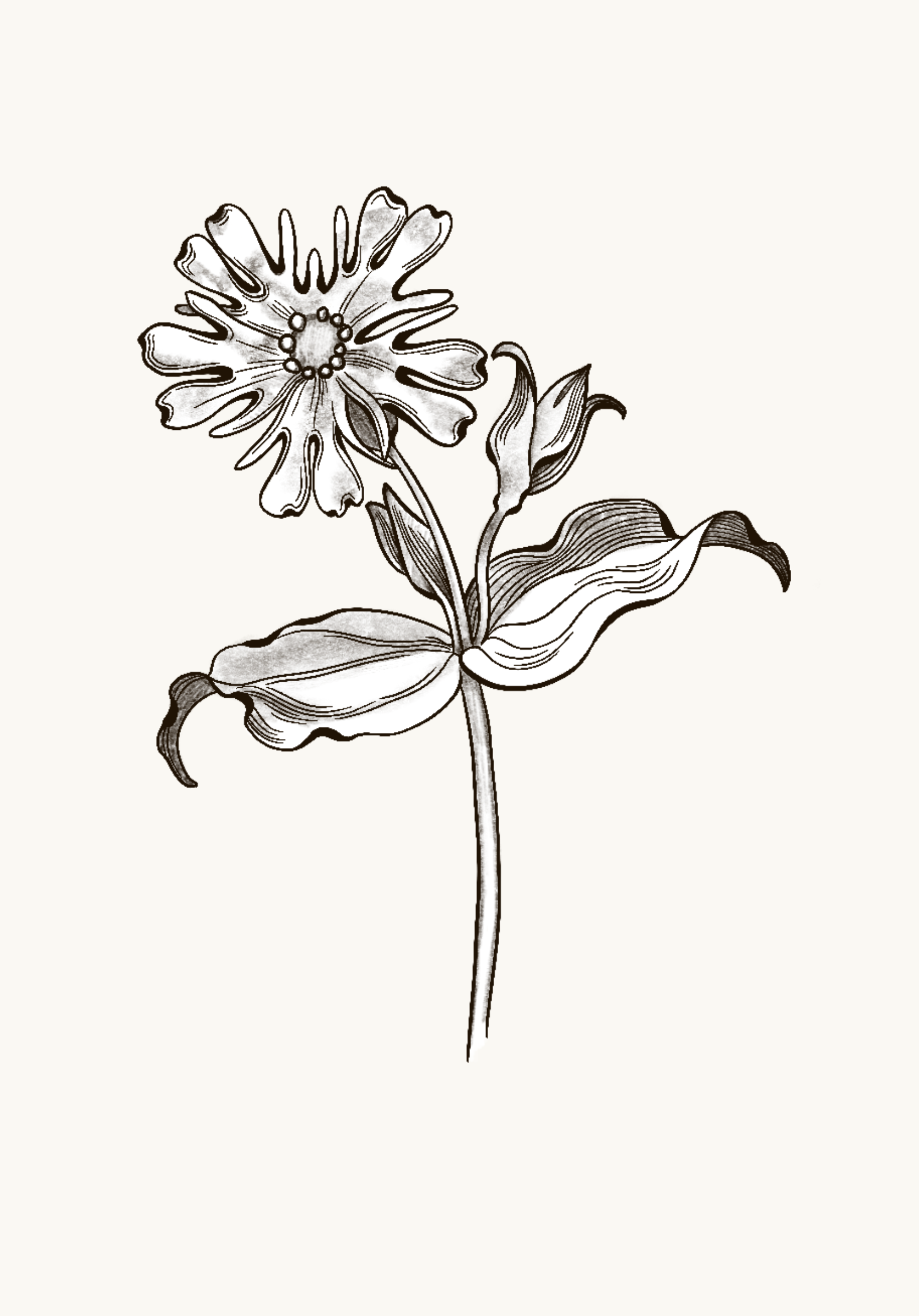 Untitled_Artwork 65.png