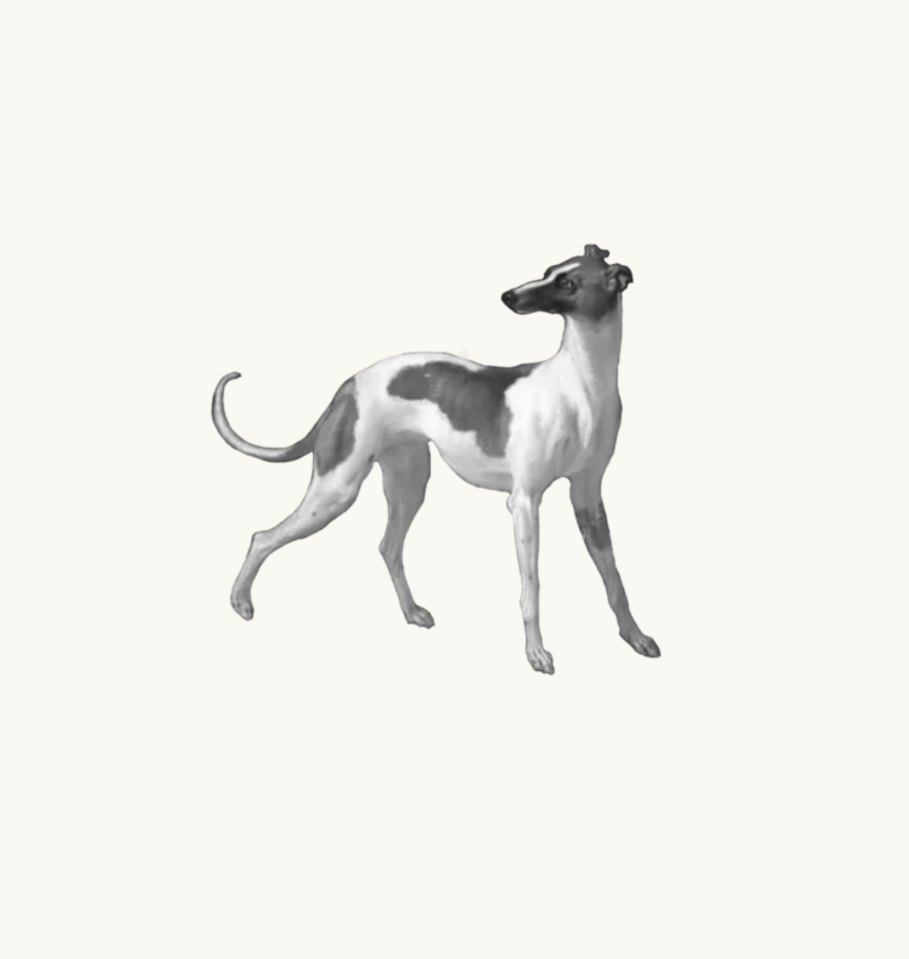Untitled_Artwork 71.png