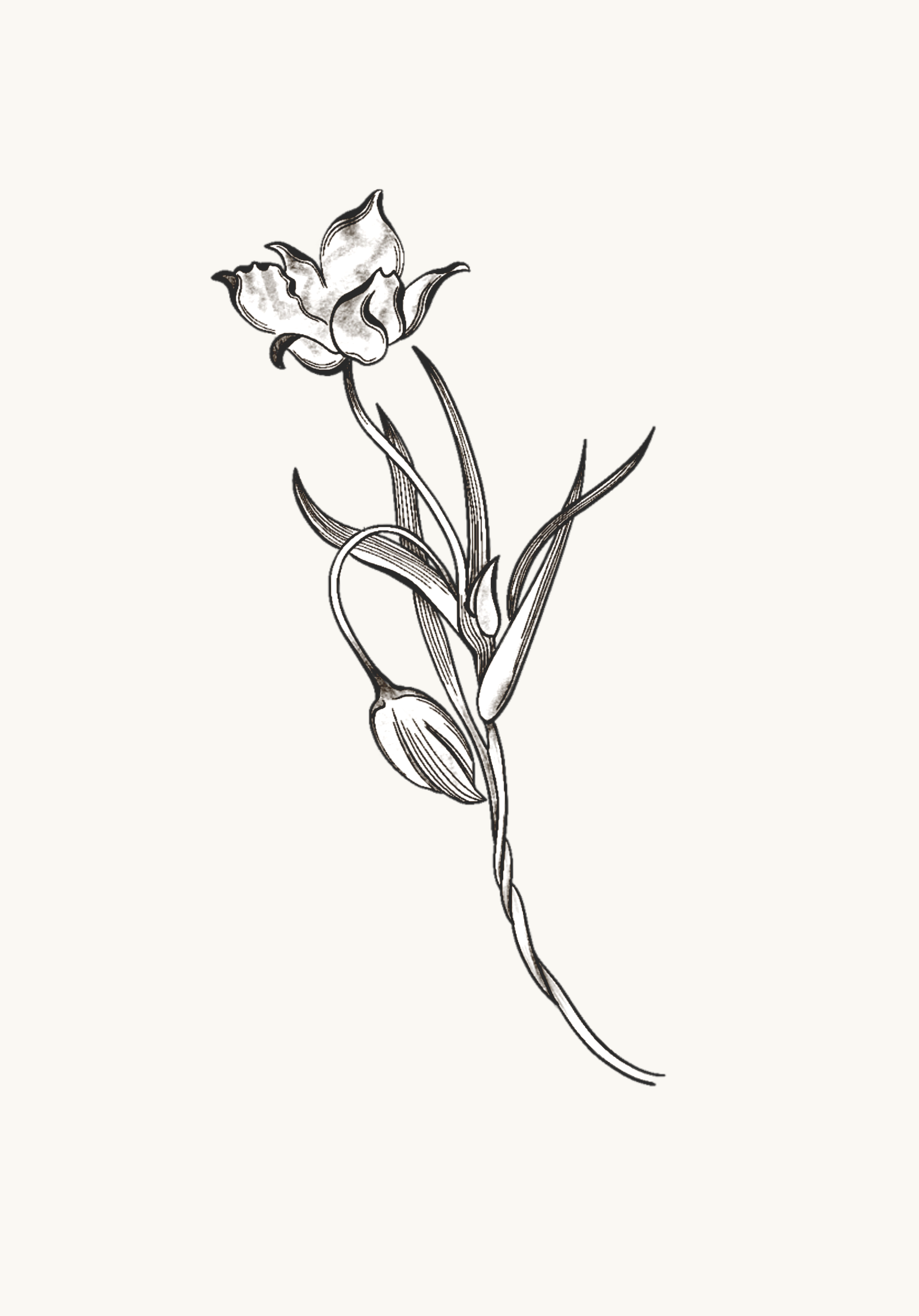 Untitled_Artwork 67.png
